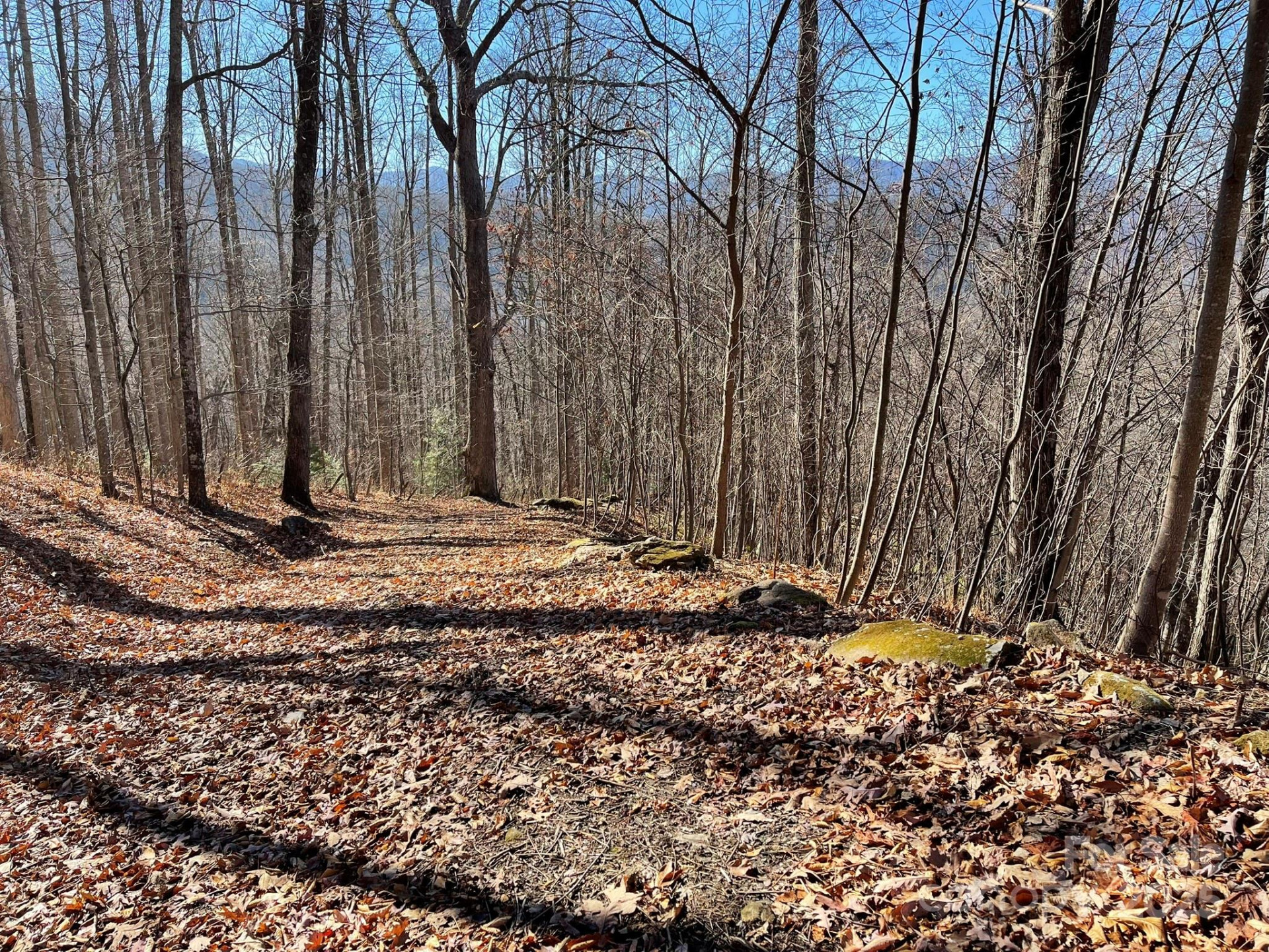 00 Weatherwatch Lane #48 - Photo 3