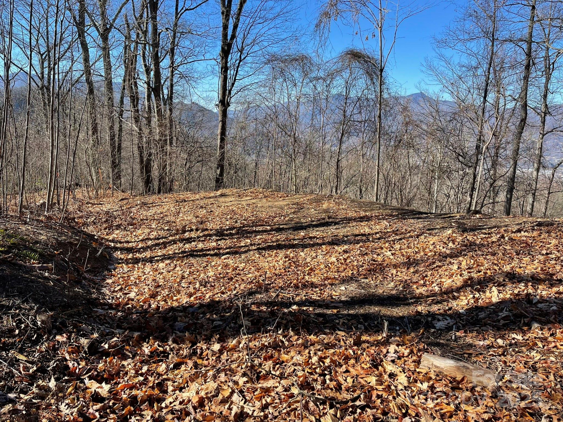 00 Weatherwatch Lane #48 - Photo 5