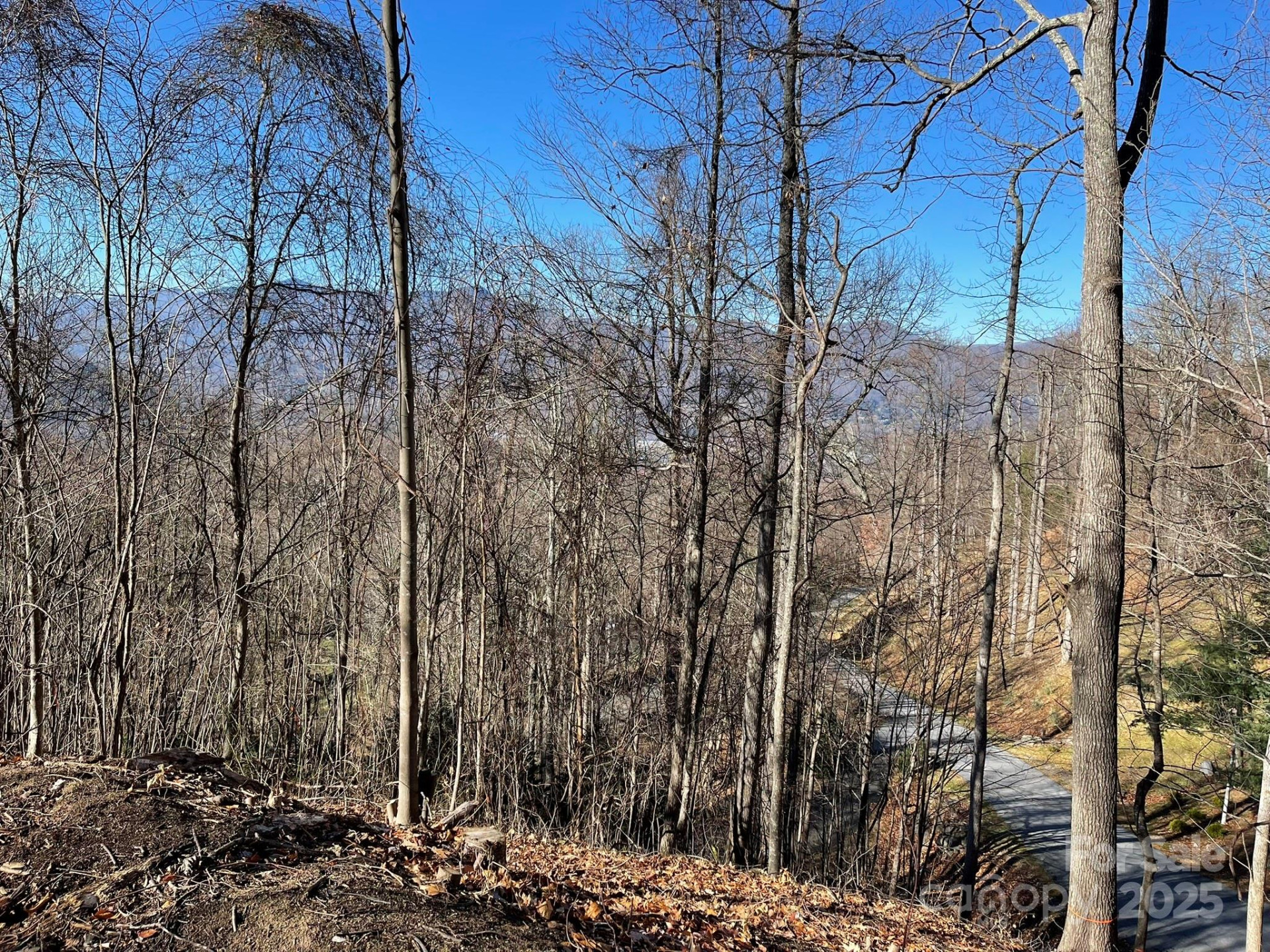 00 Weatherwatch Lane #48 - Photo 6