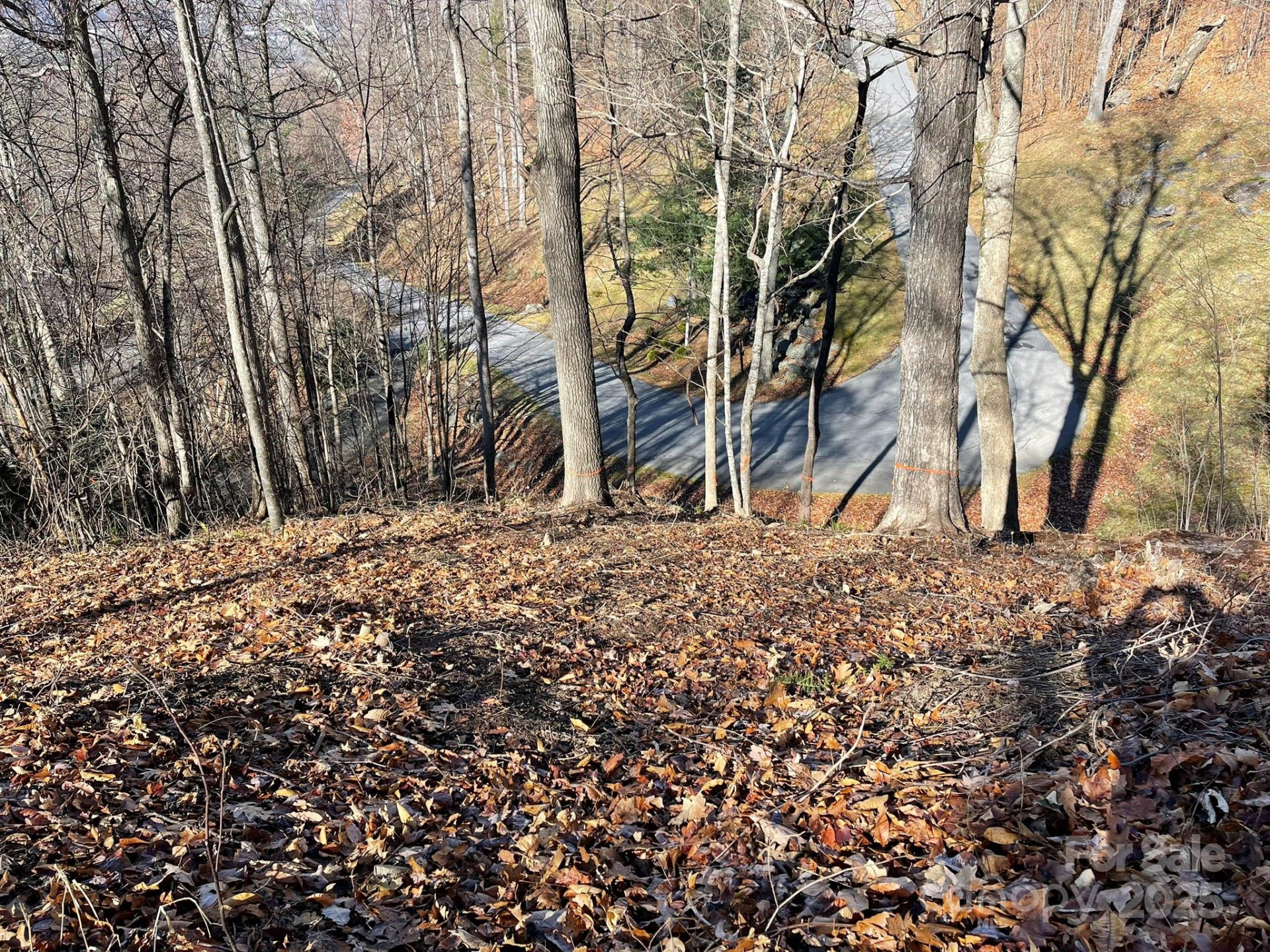 00 Weatherwatch Lane #48 - Photo 8