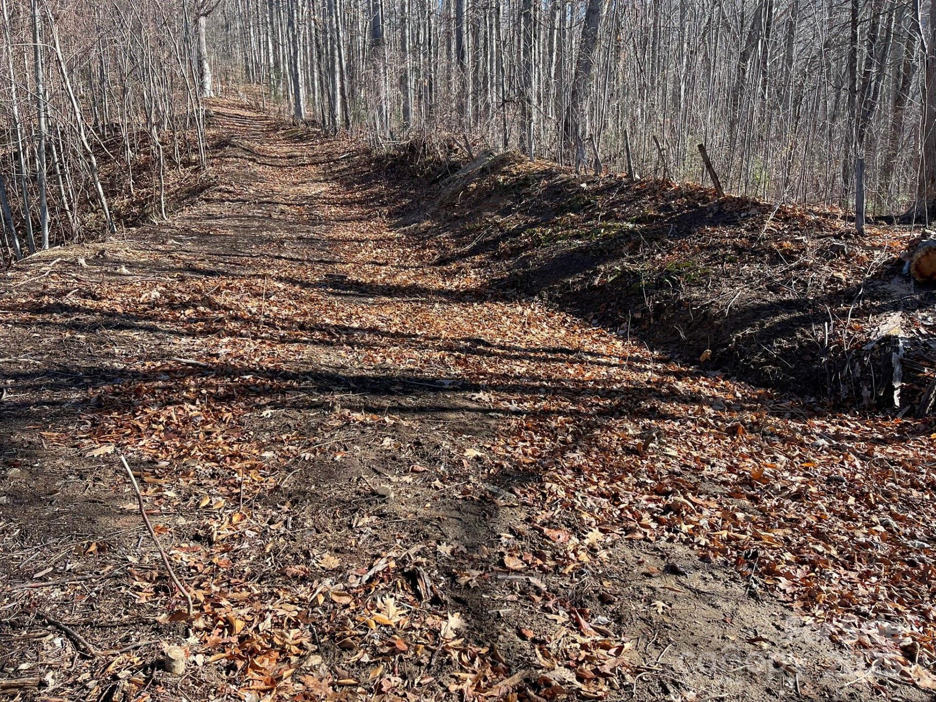 00 Weatherwatch Lane #48 - Photo 9