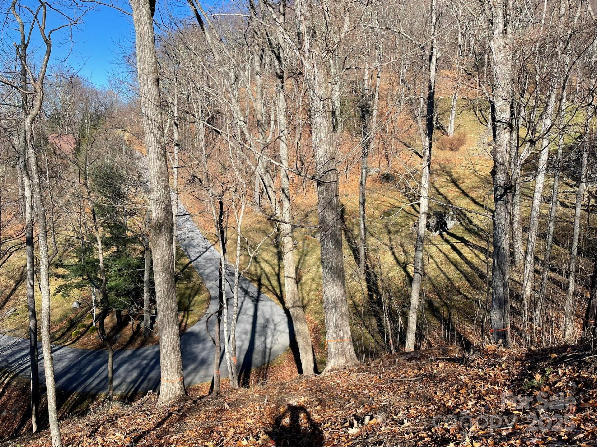 00 Weatherwatch Lane #48 - Photo 10