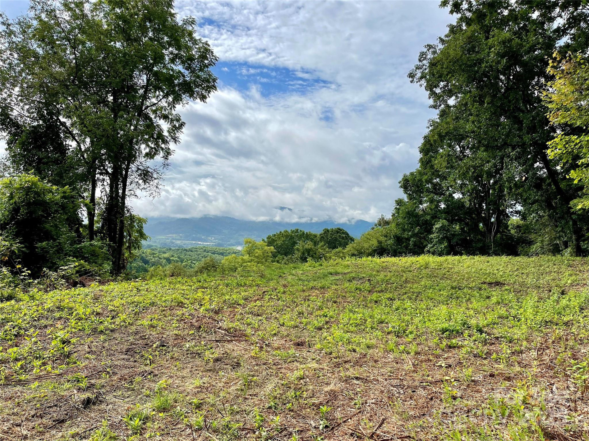 00 Rimesdale Way #36 - Photo 11