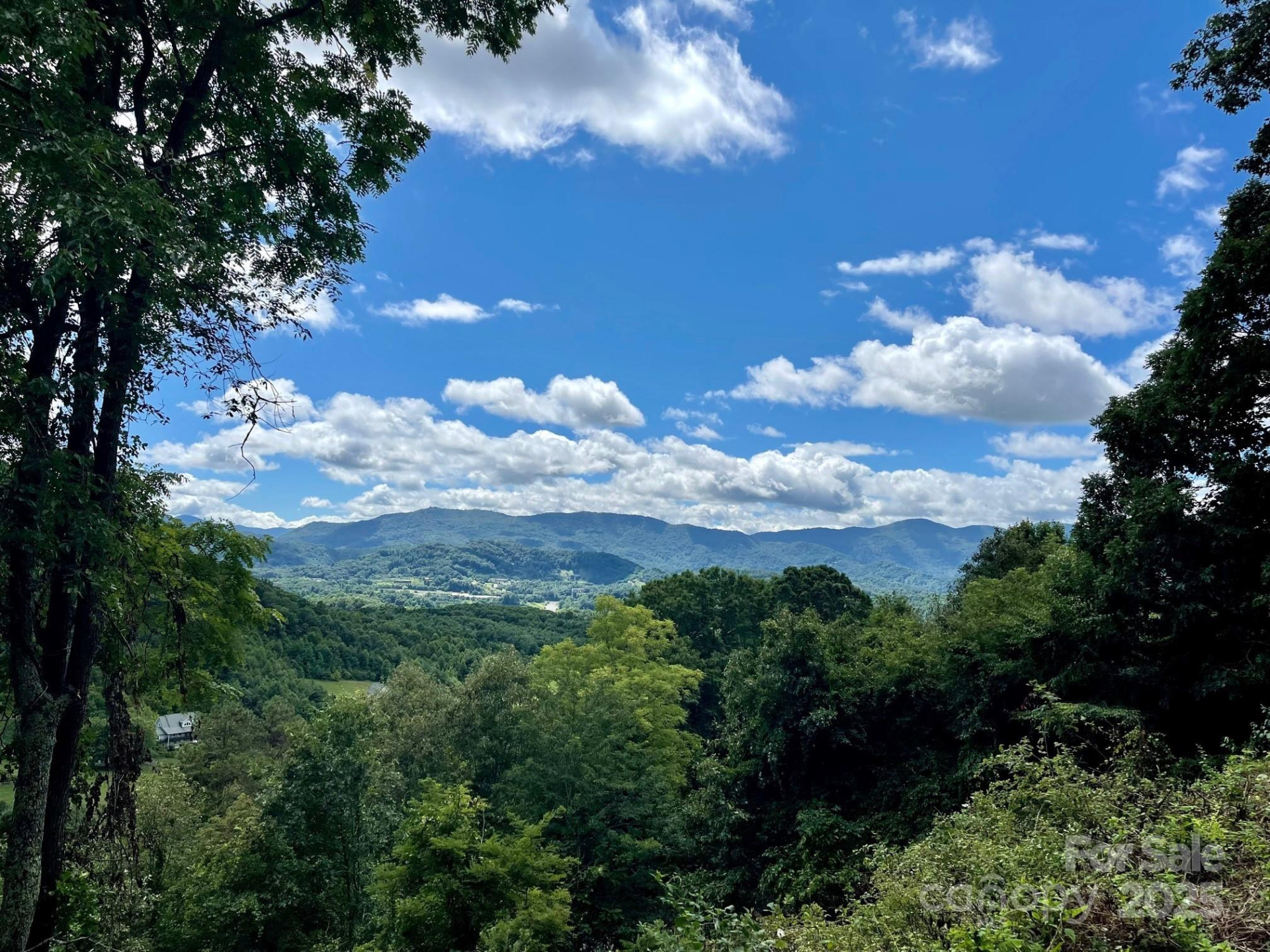 00 Rimesdale Way #36 - Photo 14