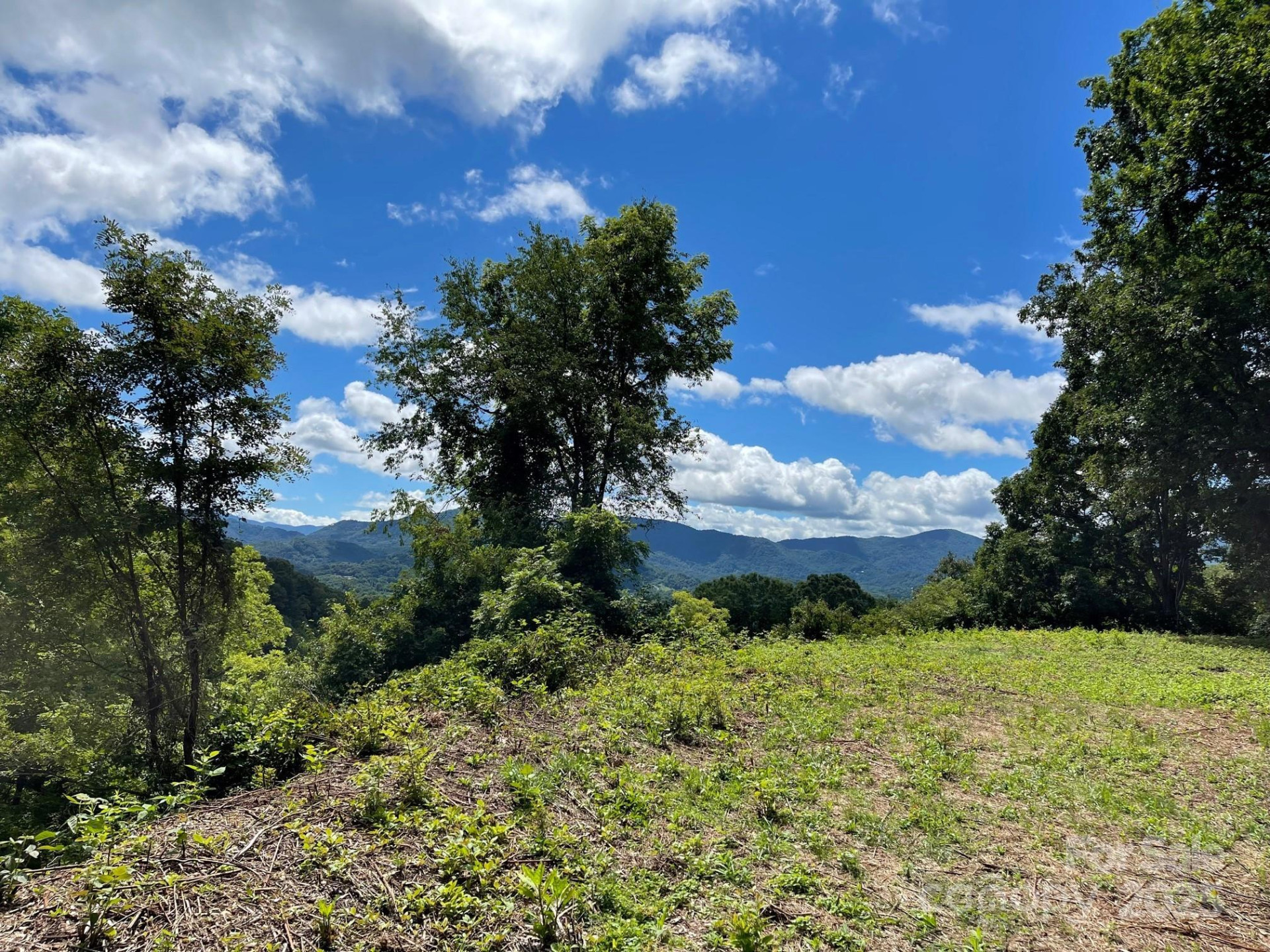 00 Rimesdale Way #36 - Photo 18