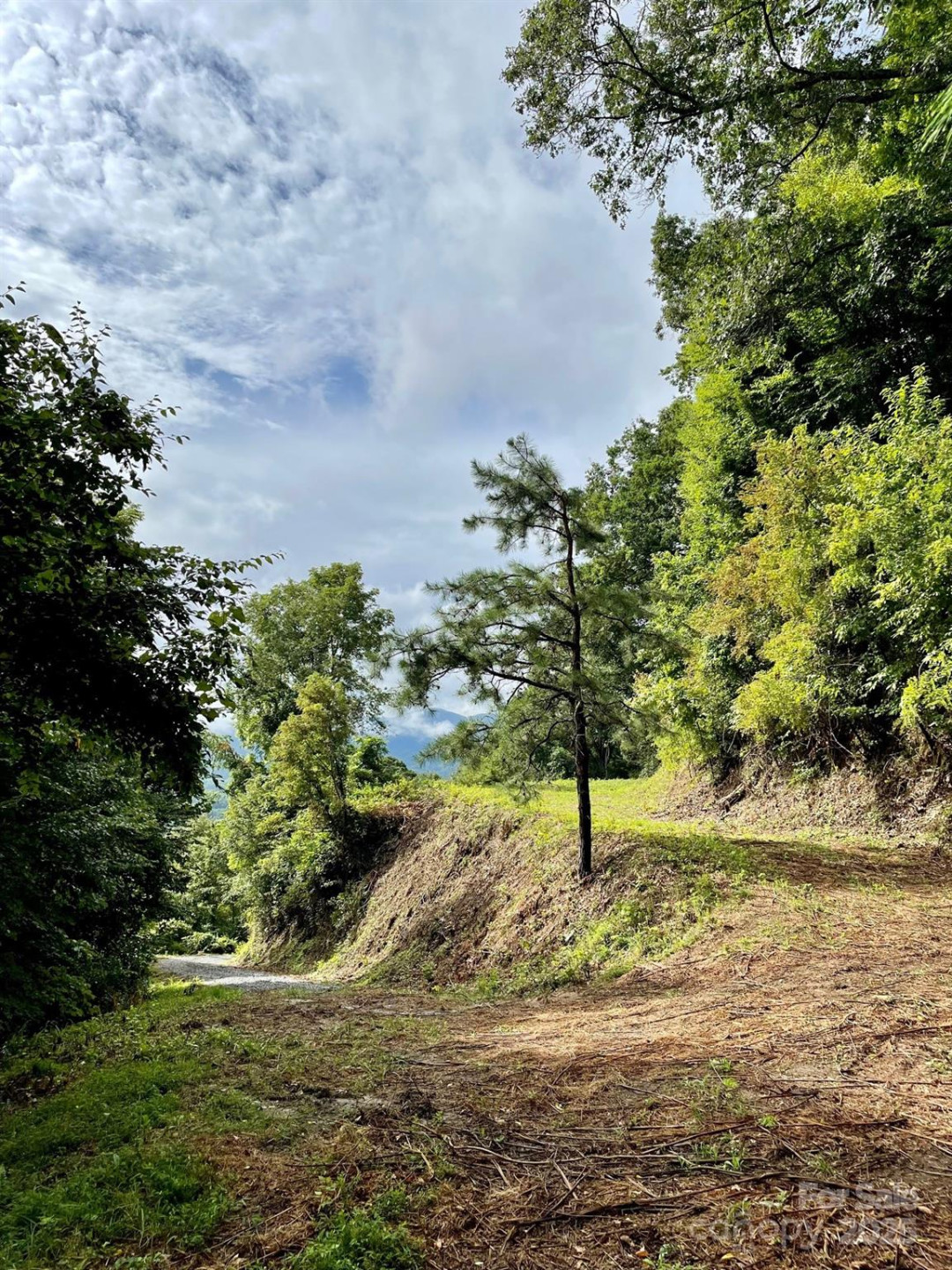 00 Rimesdale Way #36 - Photo 10