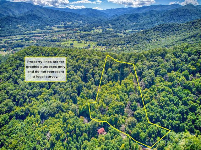 00 Yellow Locust Drive