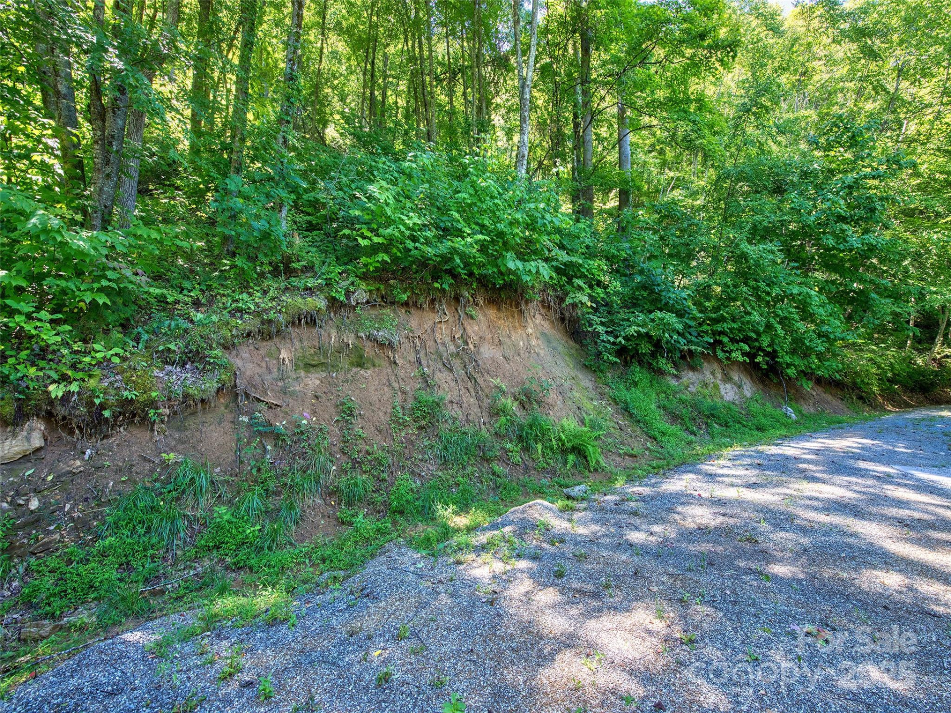 00 Yellow Locust Drive - Photo 2