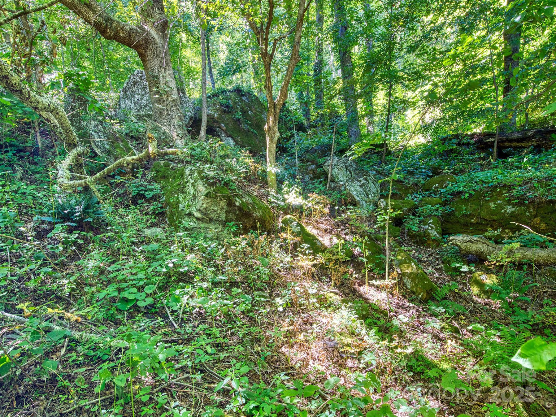 00 Yellow Locust Drive - Photo 11