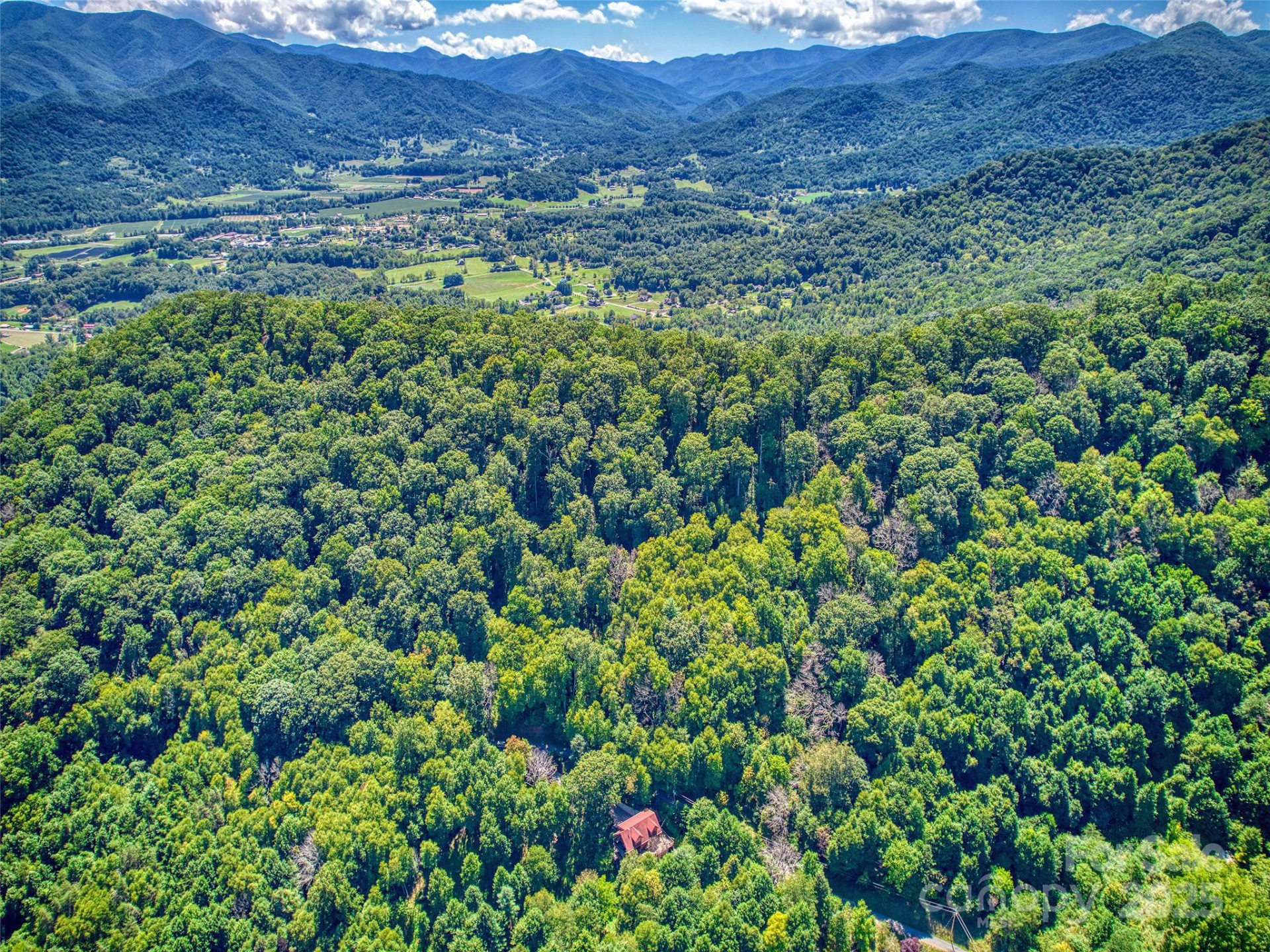 00 Yellow Locust Drive - Photo 12