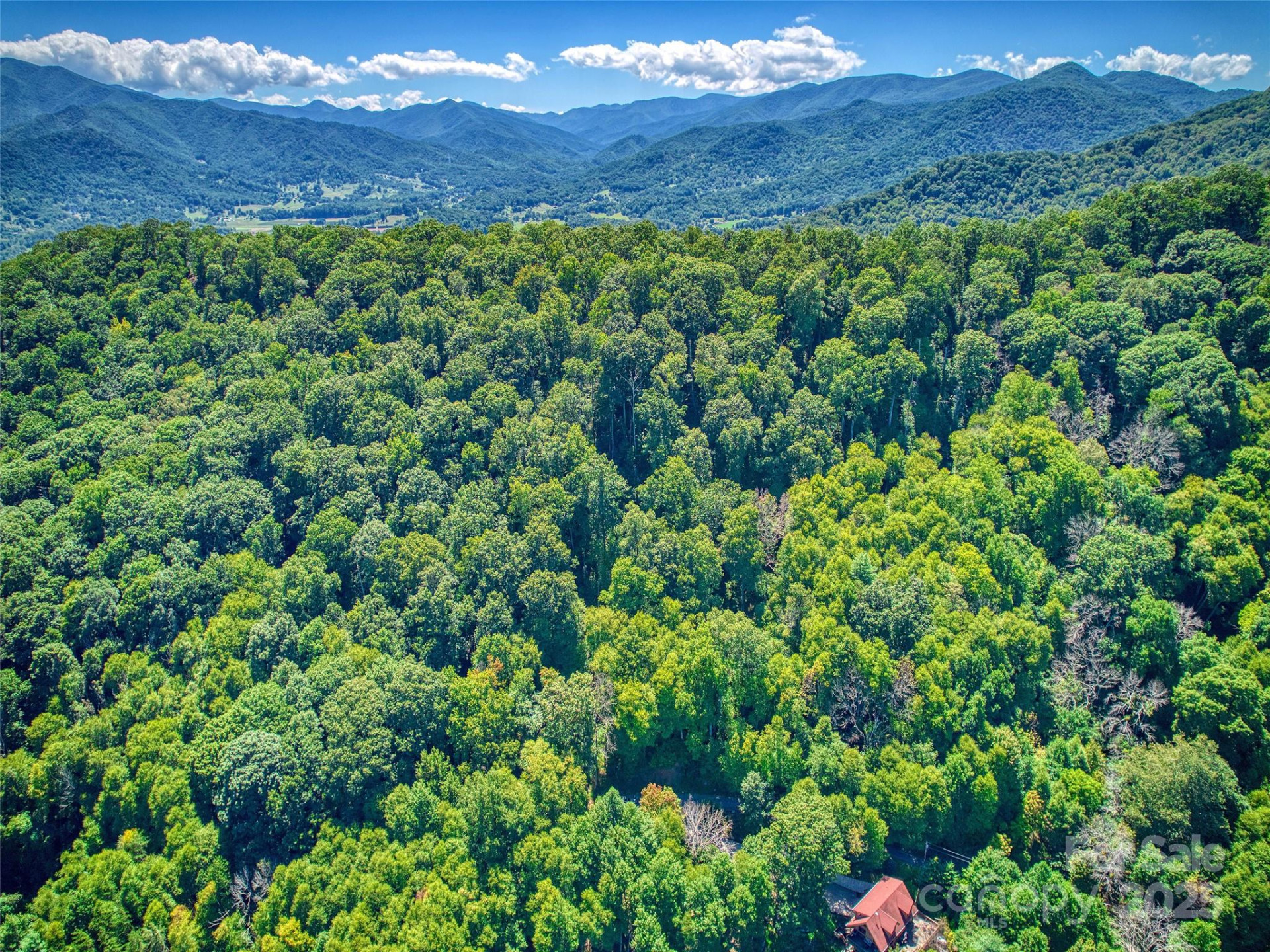 00 Yellow Locust Drive - Photo 13