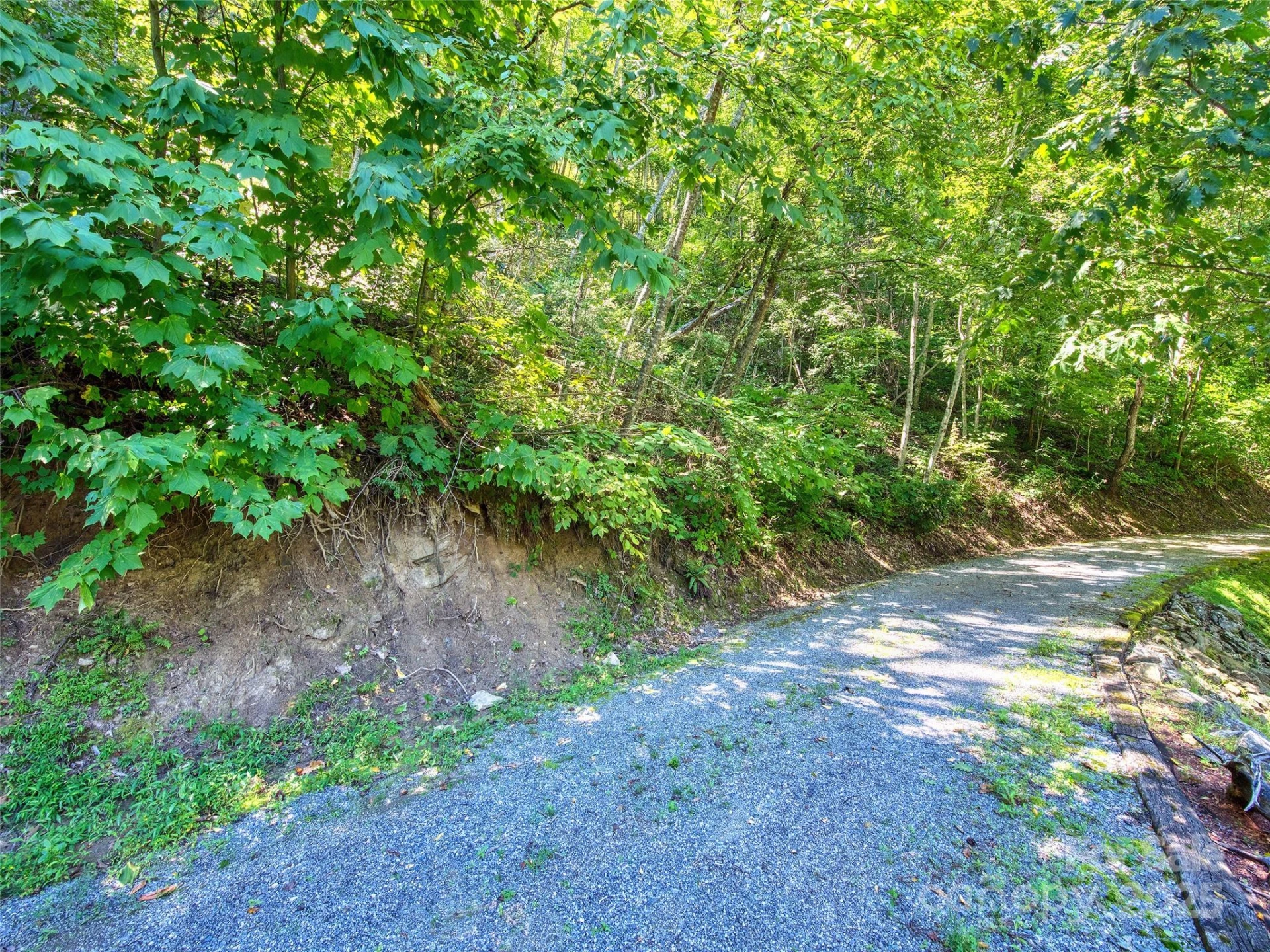 00 Yellow Locust Drive - Photo 3