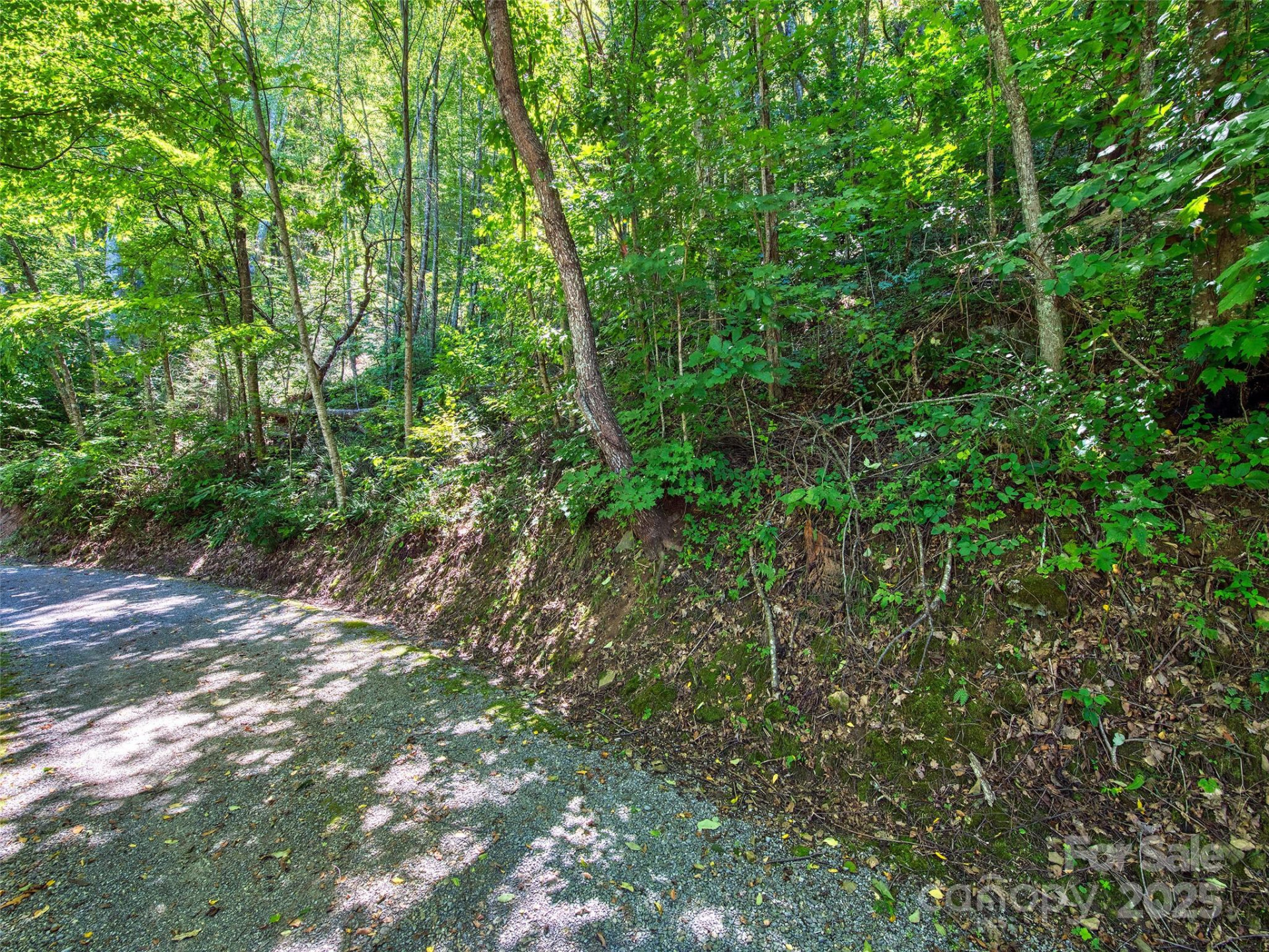 00 Yellow Locust Drive - Photo 4