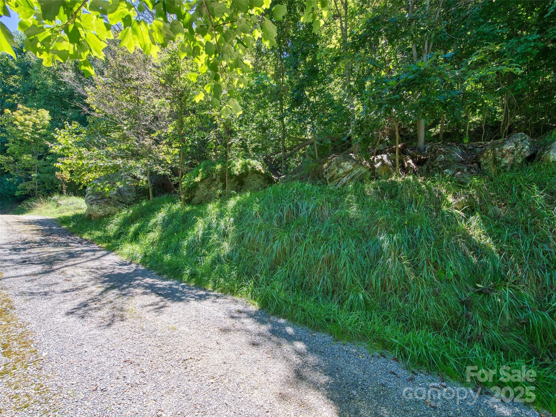 00 Yellow Locust Drive - Photo 5