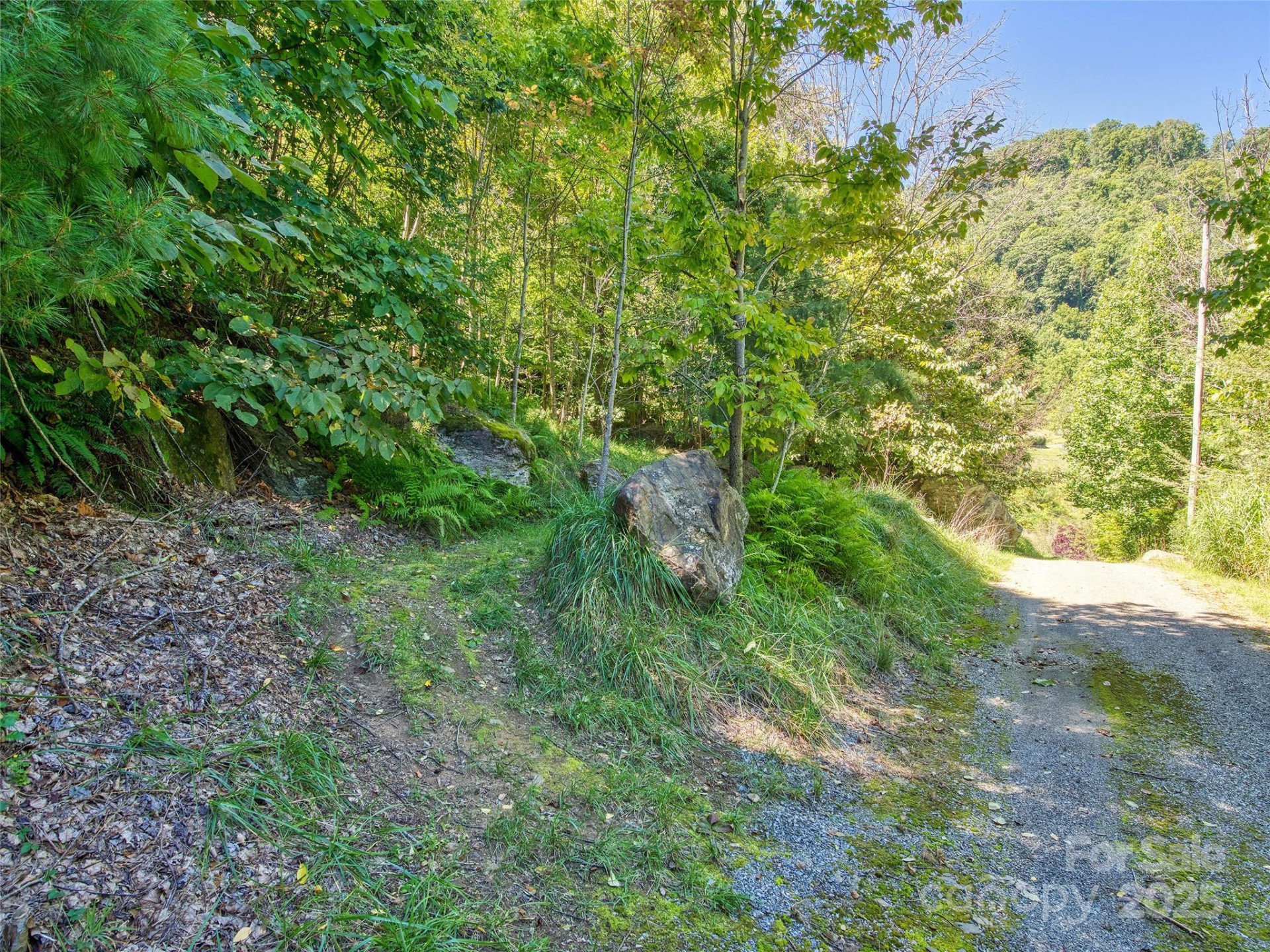 00 Yellow Locust Drive - Photo 6