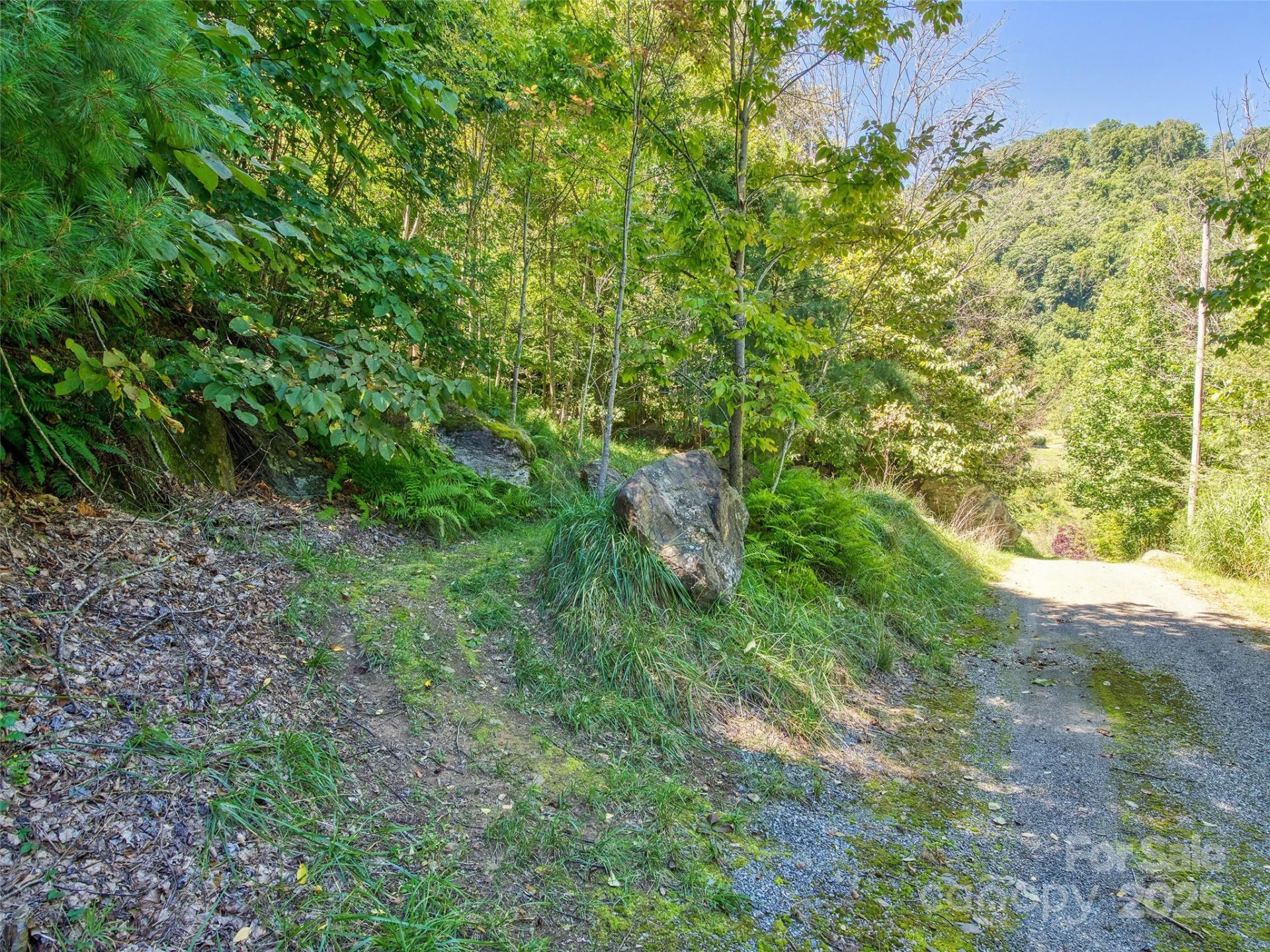 00 Yellow Locust Drive - Photo 6