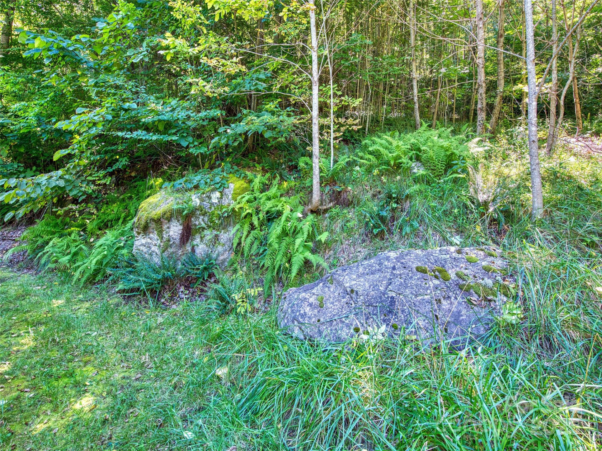 00 Yellow Locust Drive - Photo 7