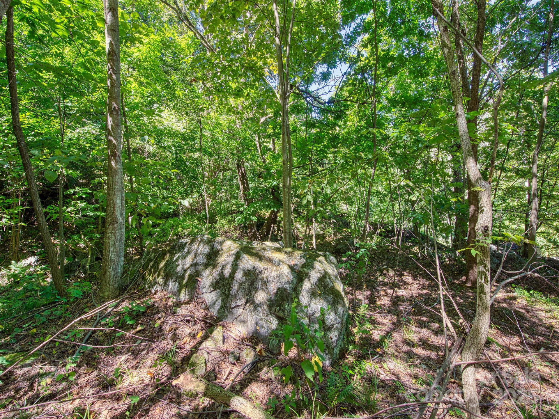 00 Yellow Locust Drive - Photo 8