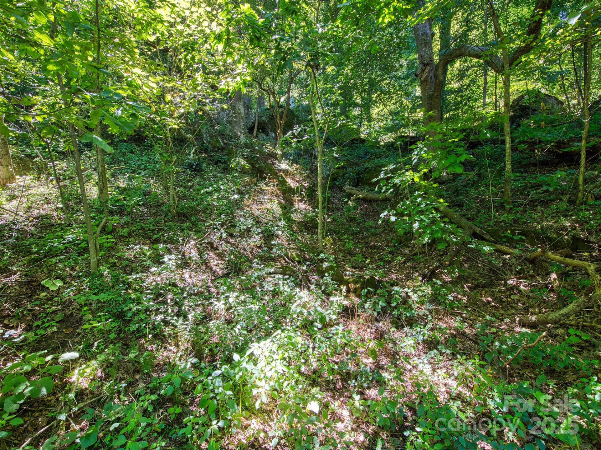 00 Yellow Locust Drive - Photo 9