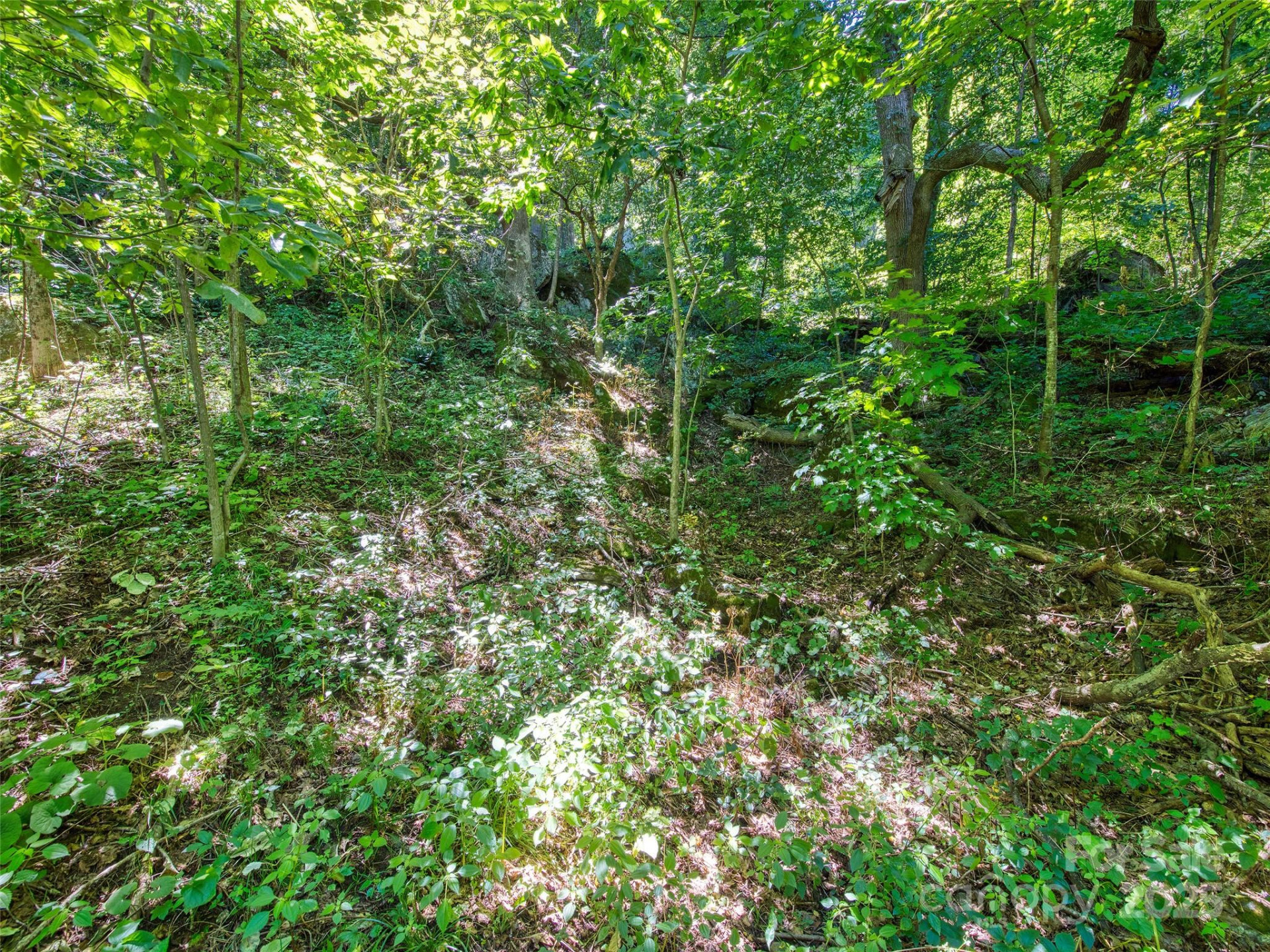 00 Yellow Locust Drive - Photo 10