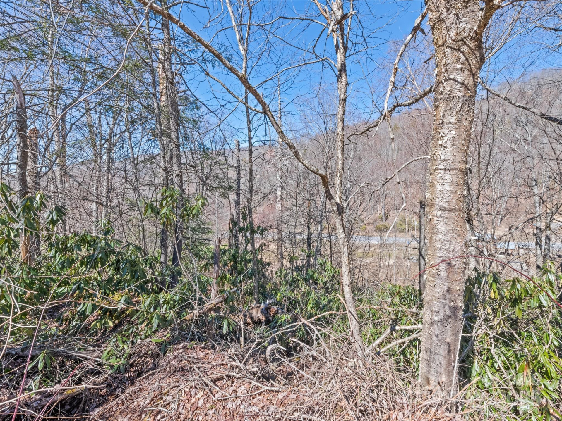 Lot 5 Spruce Flats Road - Photo 11