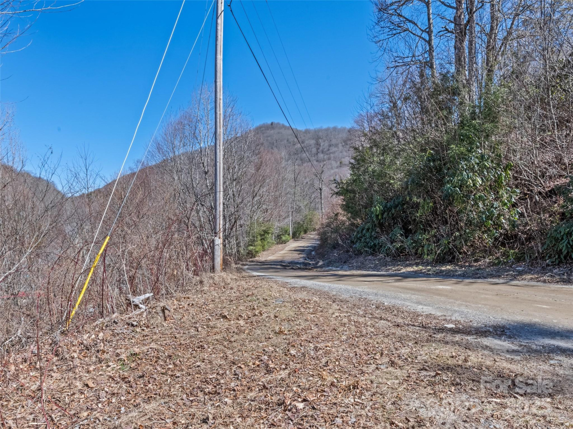 Lot 5 Spruce Flats Road - Photo 12