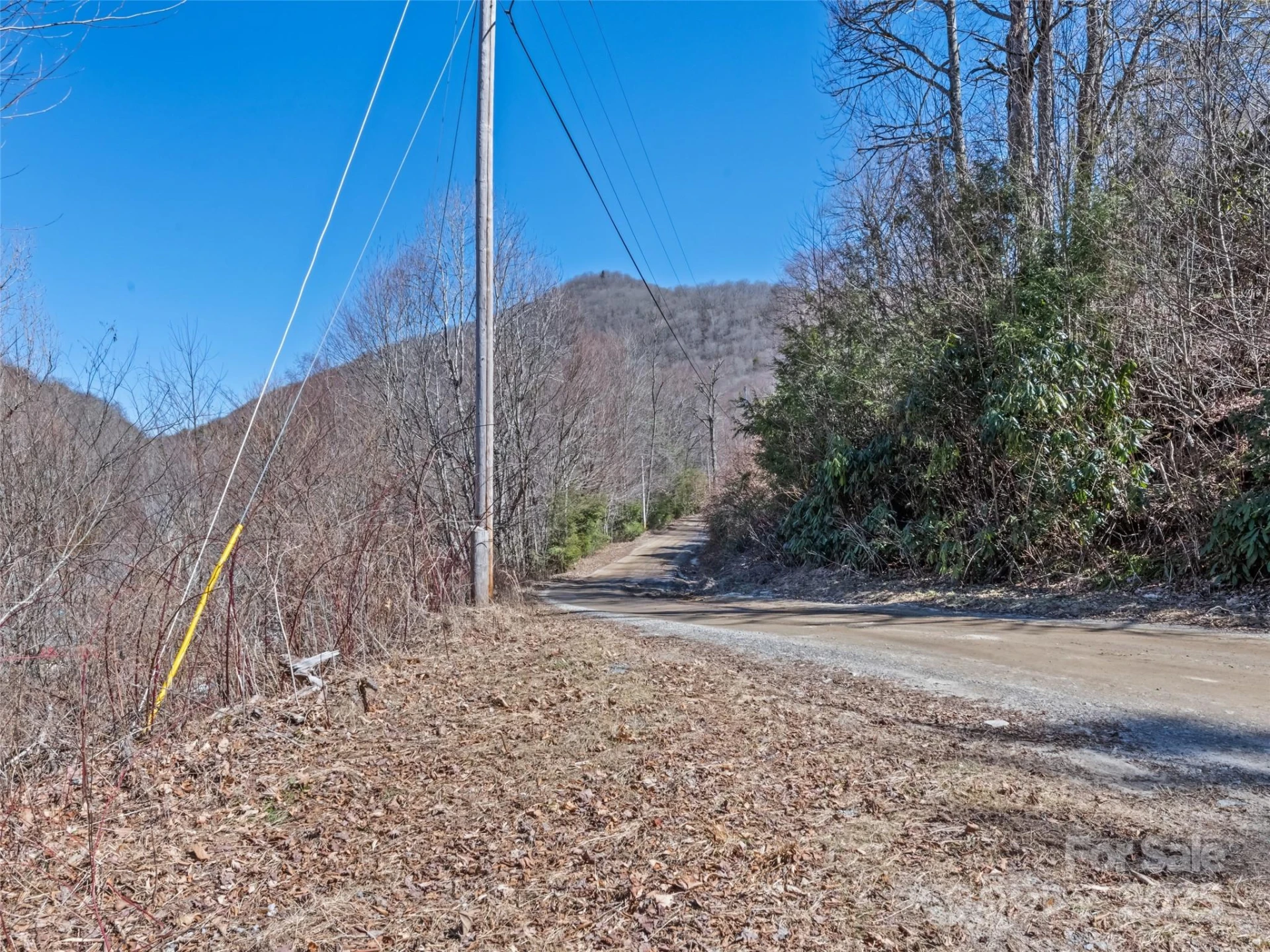 Lot 5 Spruce Flats Road - Photo 12
