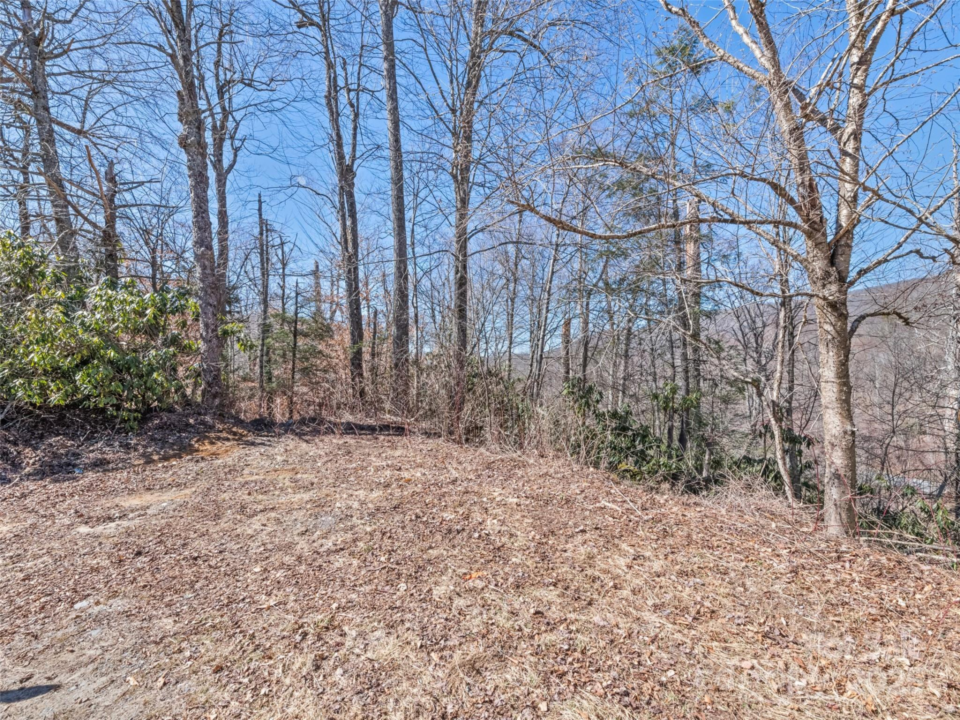 Lot 5 Spruce Flats Road - Photo 8