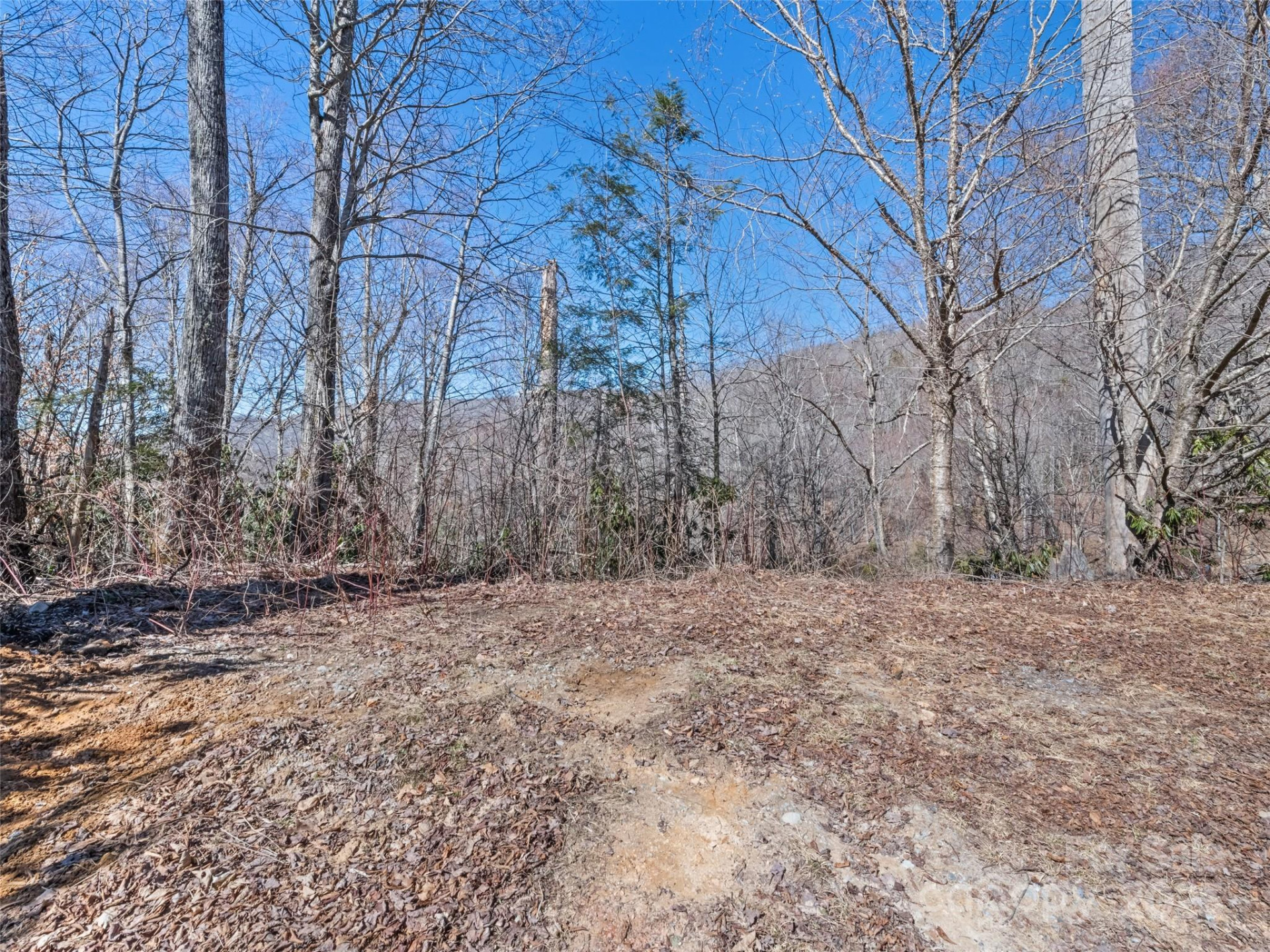 Lot 5 Spruce Flats Road - Photo 9