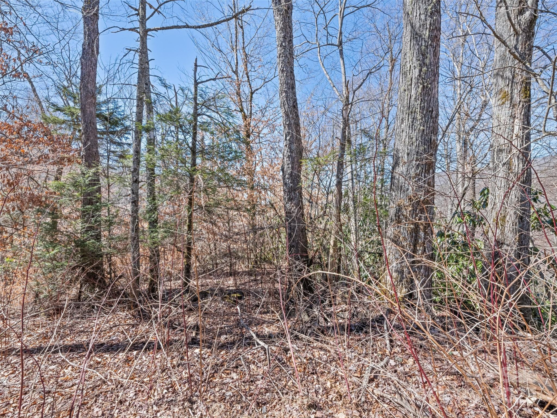 Lot 5 Spruce Flats Road - Photo 10