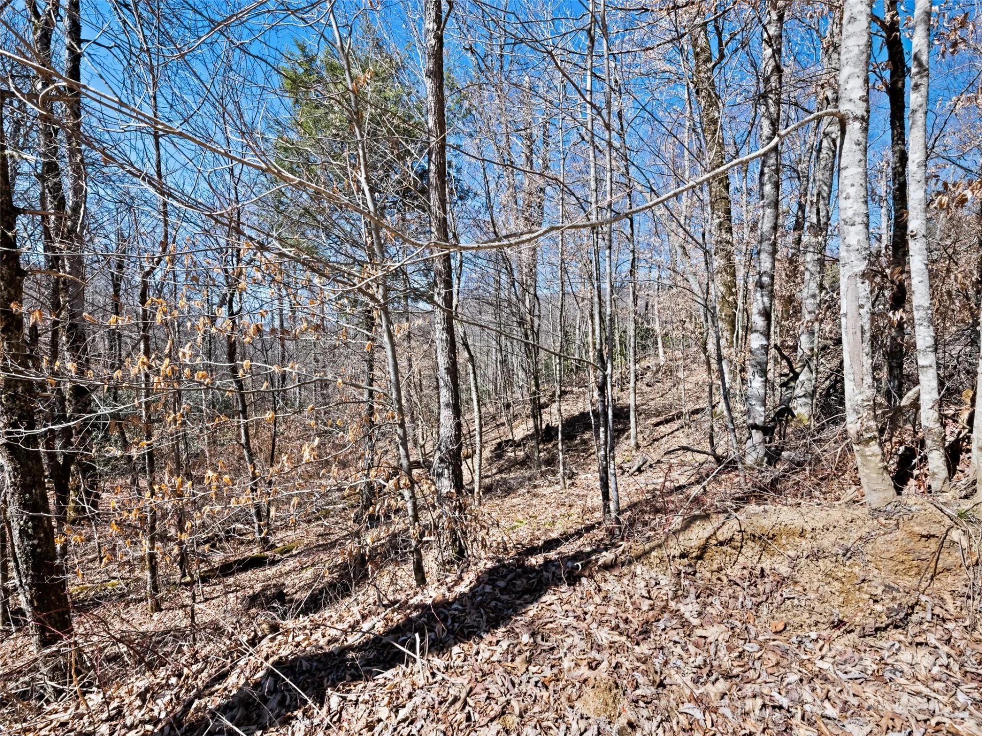 Lot 6 Spruce Flats Road - Photo 7