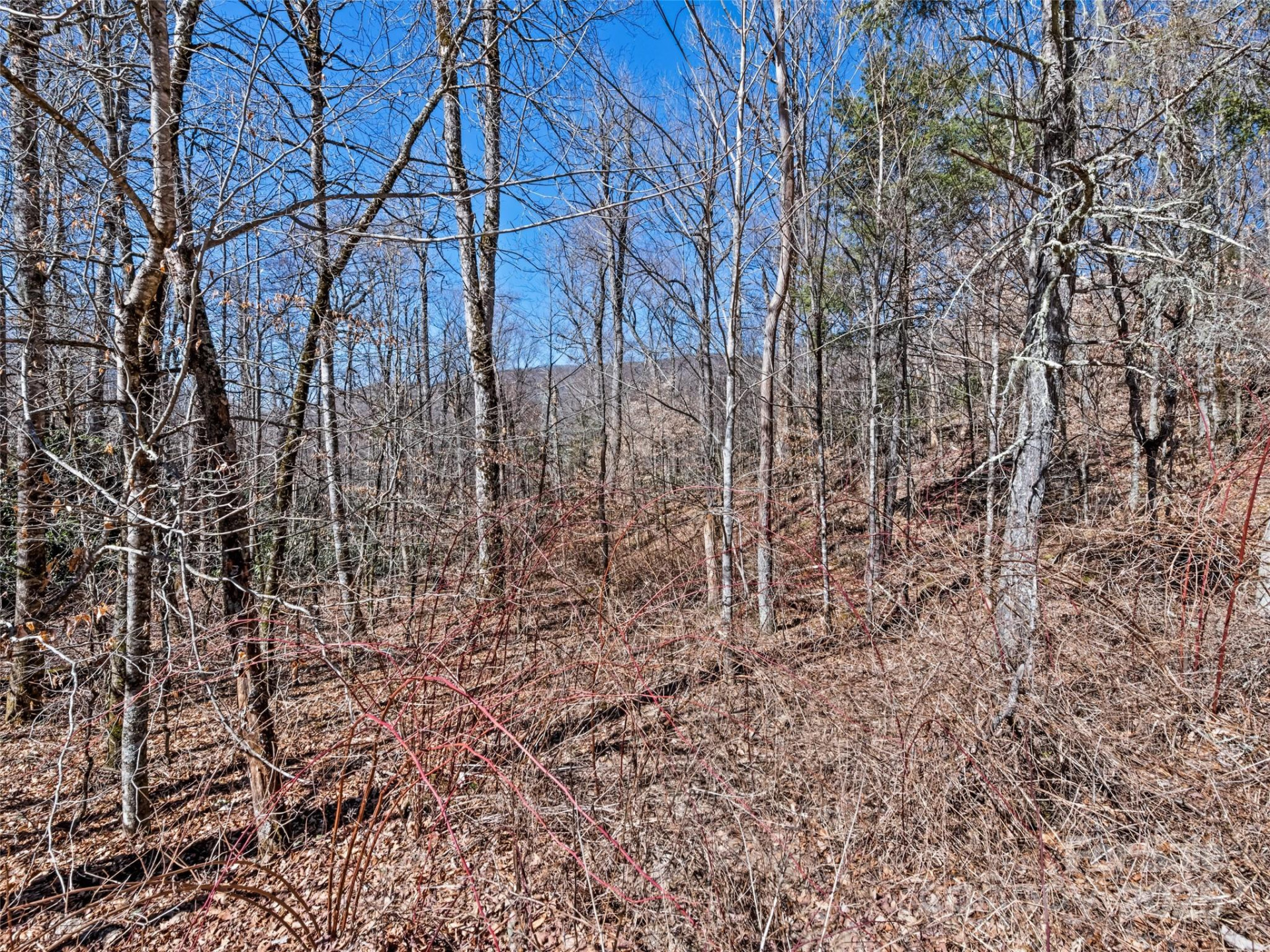 Lot 6 Spruce Flats Road - Photo 8