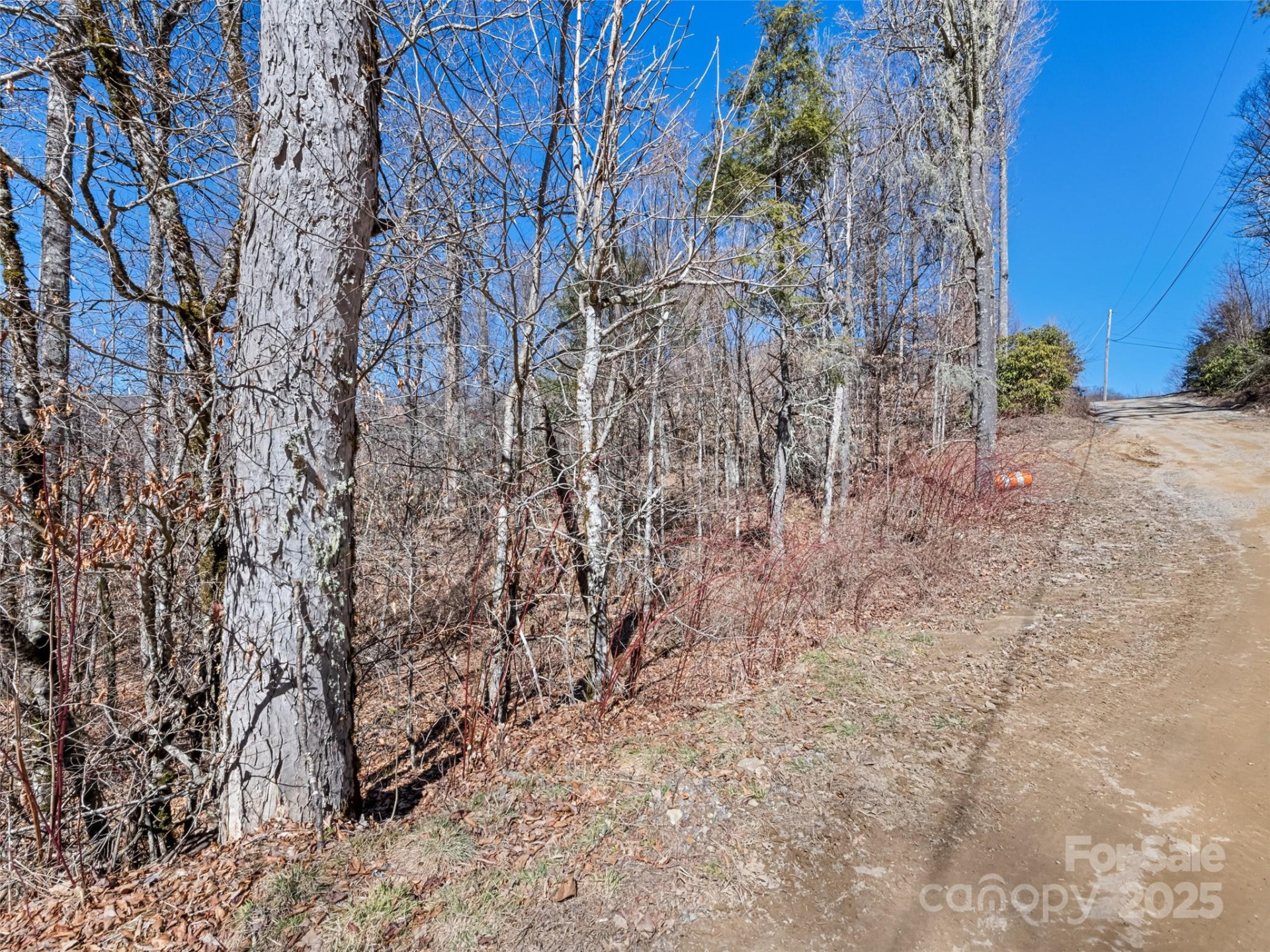 Lot 6 Spruce Flats Road - Photo 9