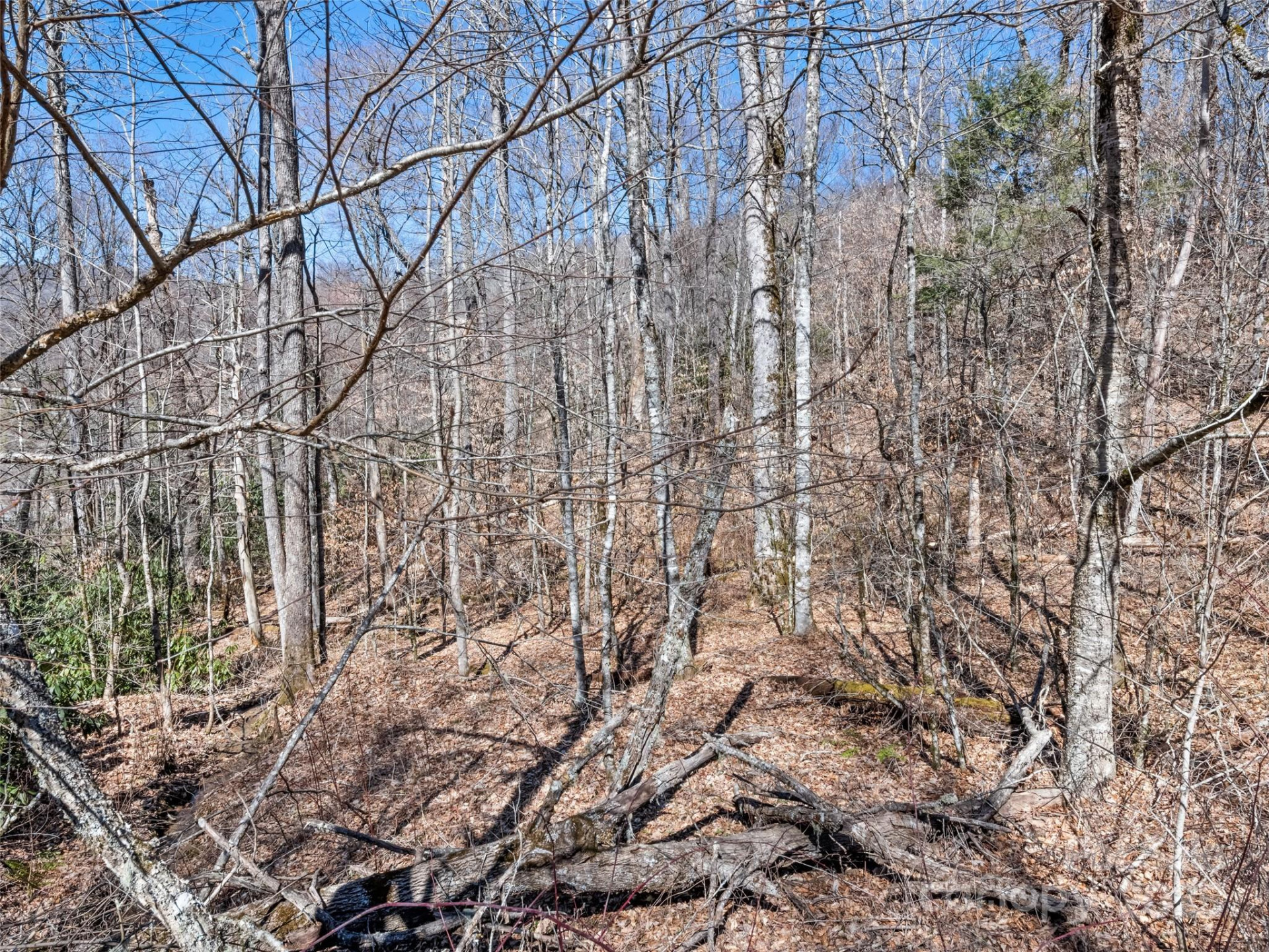 Lot 6 Spruce Flats Road - Photo 10