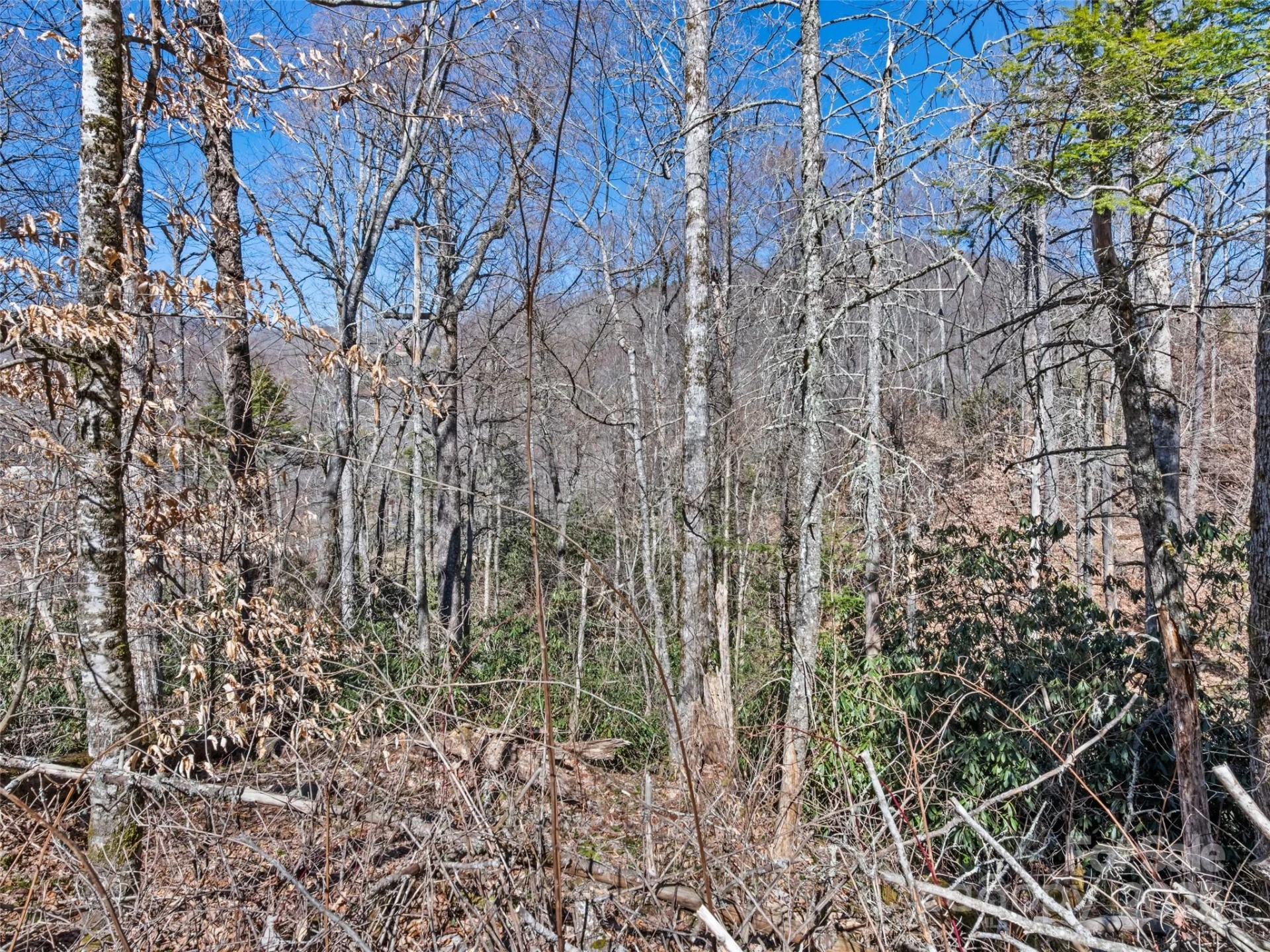 Lot 7 Spruce Flats Road - Photo 11