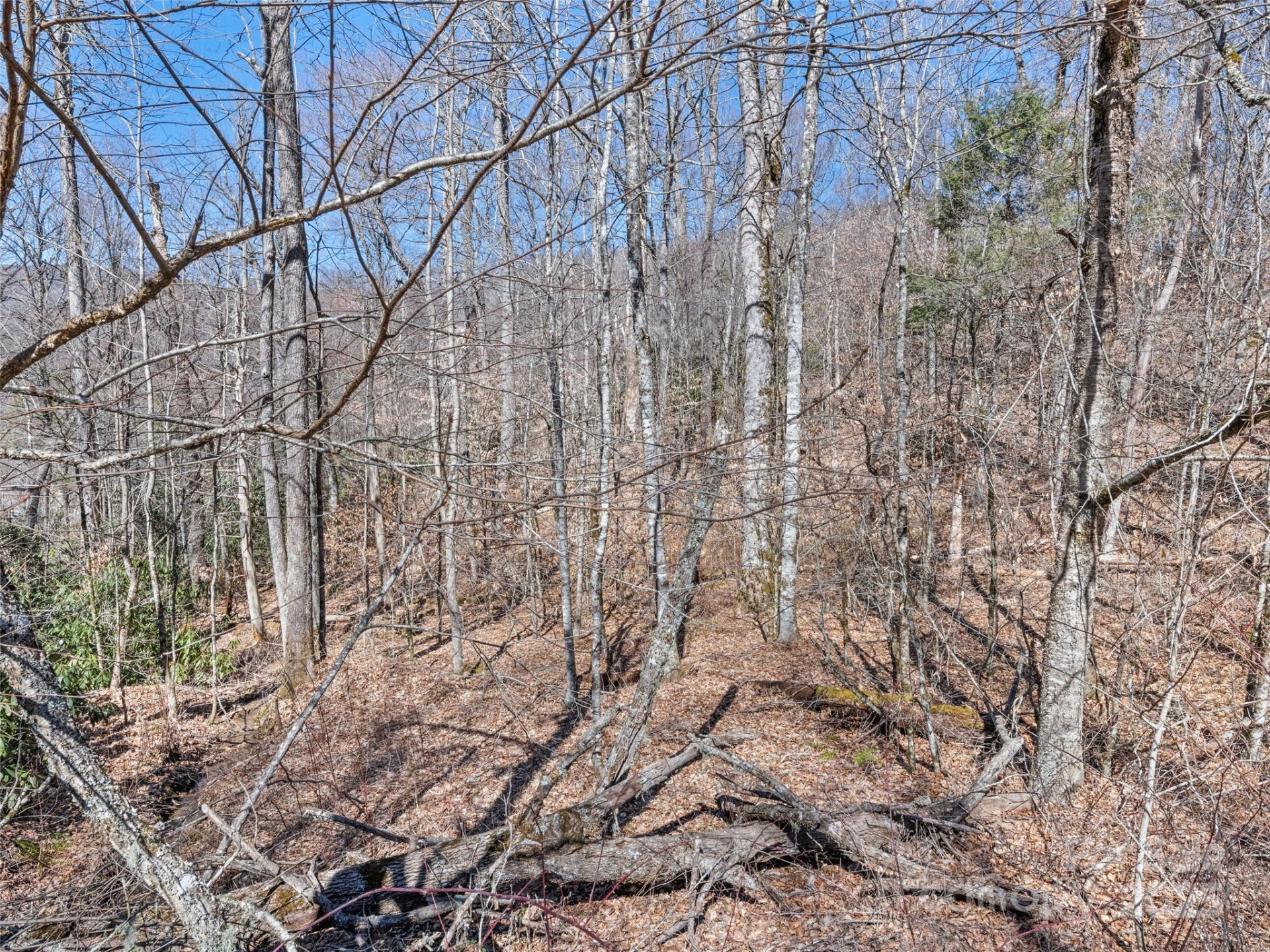 Lot 7 Spruce Flats Road - Photo 9