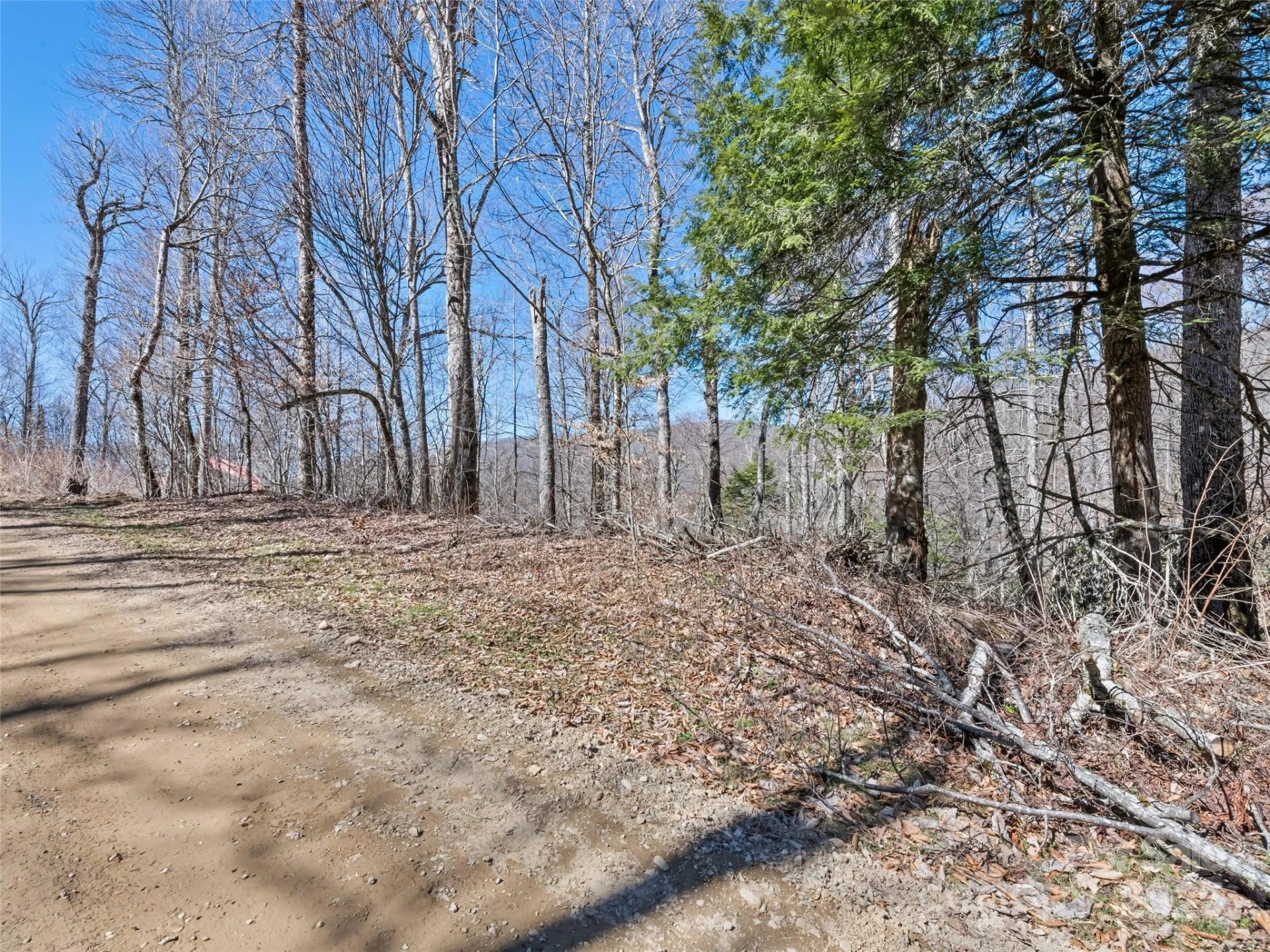 Lot 7 Spruce Flats Road - Photo 10
