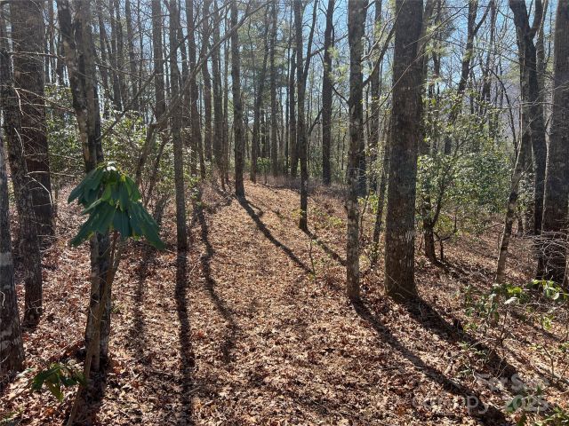 TBD Panther Ridge Road, Lake Toxaway, NC, 28747