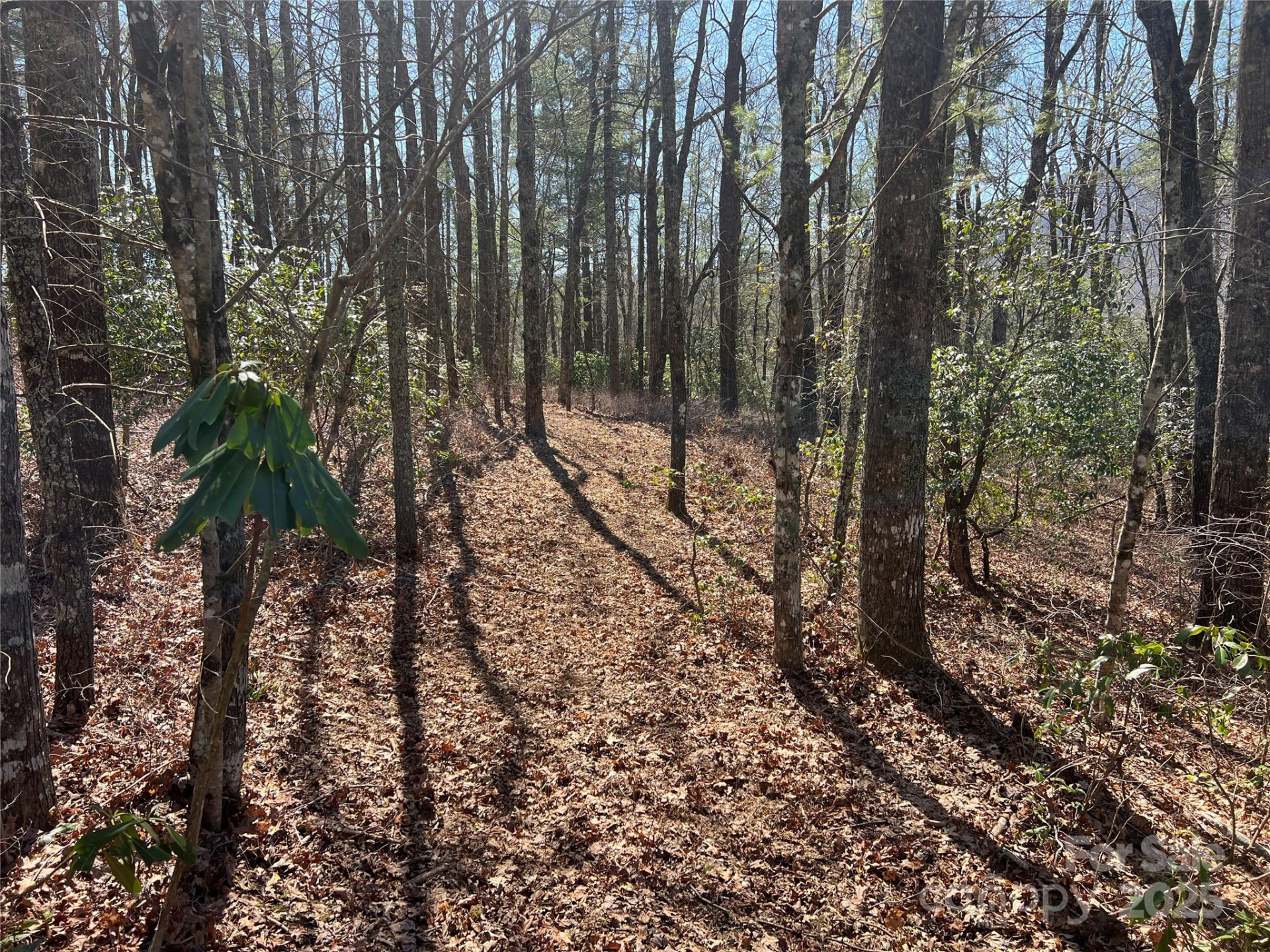 TBD Panther Ridge Road