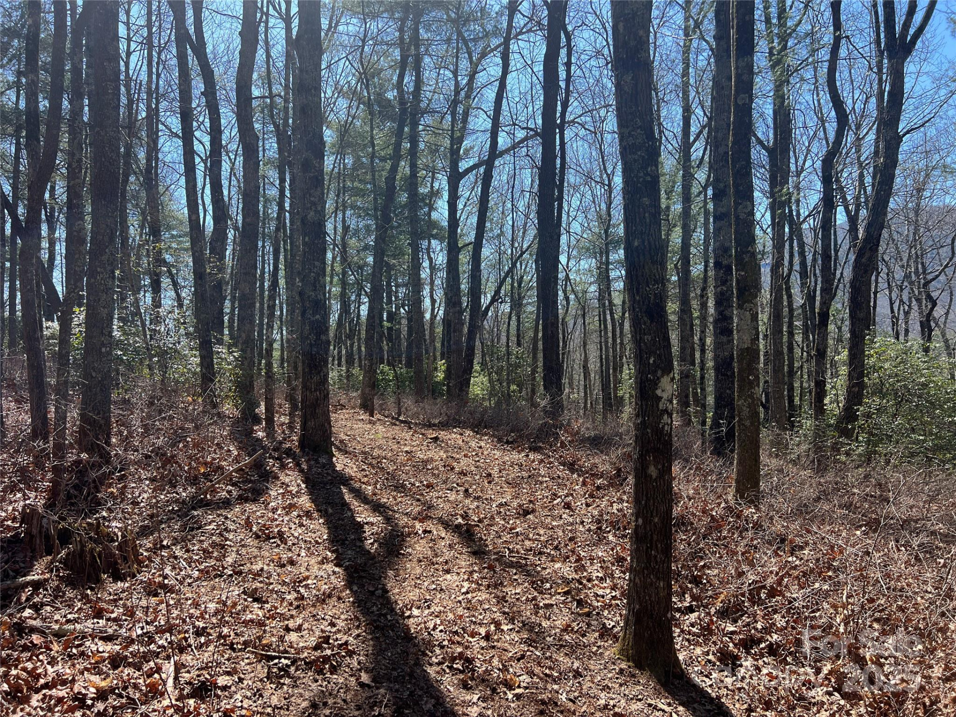 TBD Panther Ridge Road - Photo 2