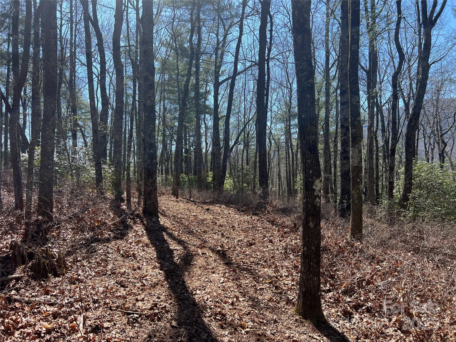 TBD Panther Ridge Road - Photo 2