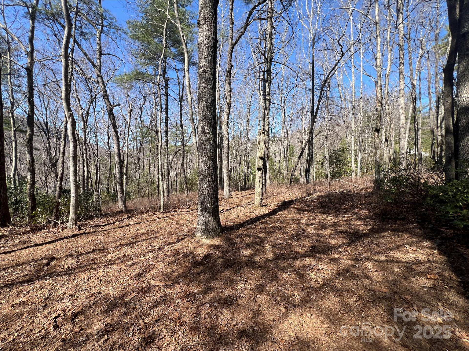 TBD Panther Ridge Road - Photo 11