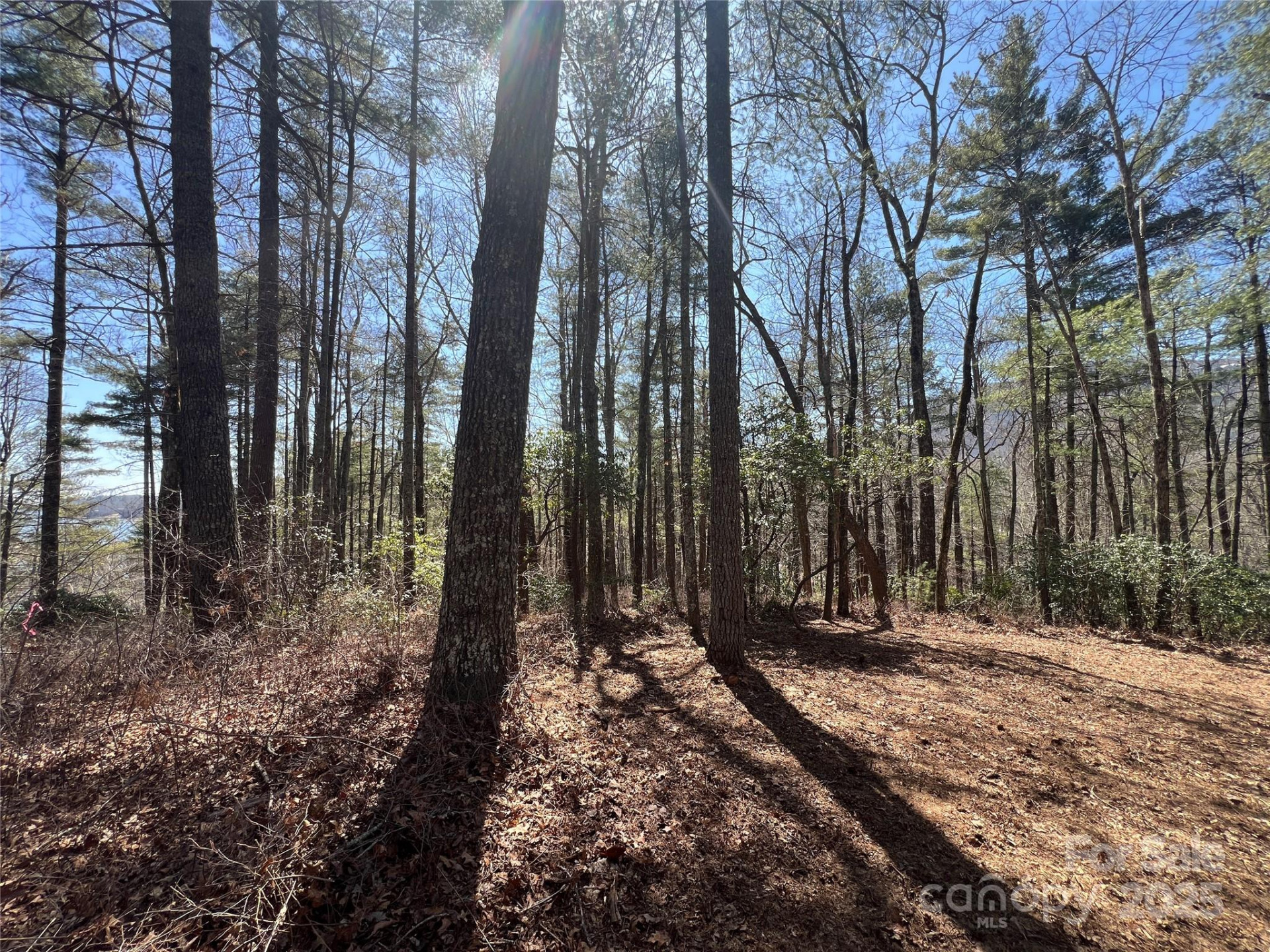 TBD Panther Ridge Road - Photo 12