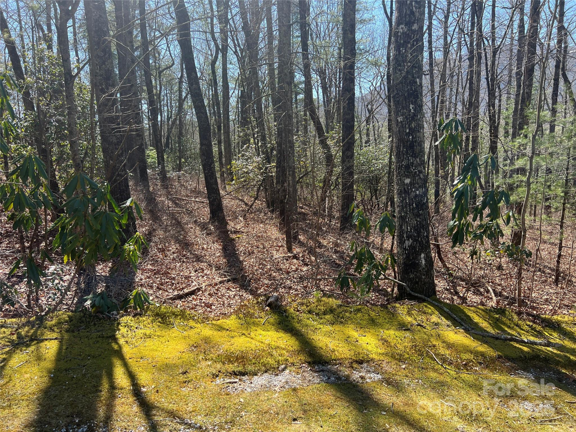 TBD Panther Ridge Road - Photo 14