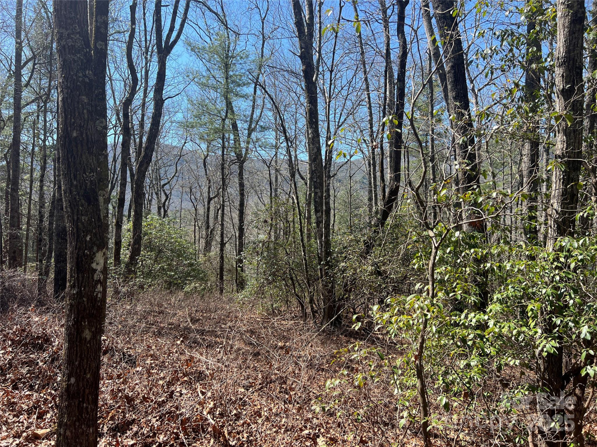 TBD Panther Ridge Road - Photo 3