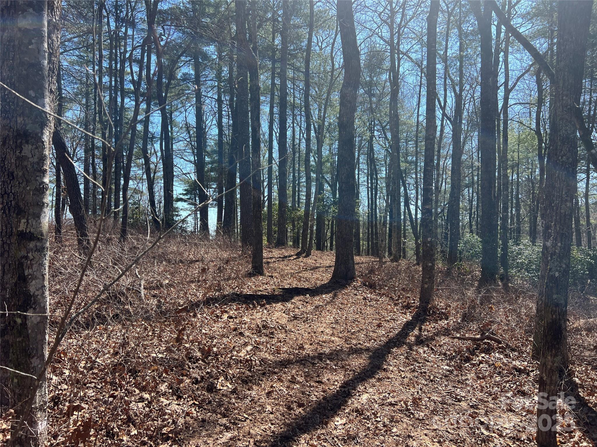 TBD Panther Ridge Road - Photo 4