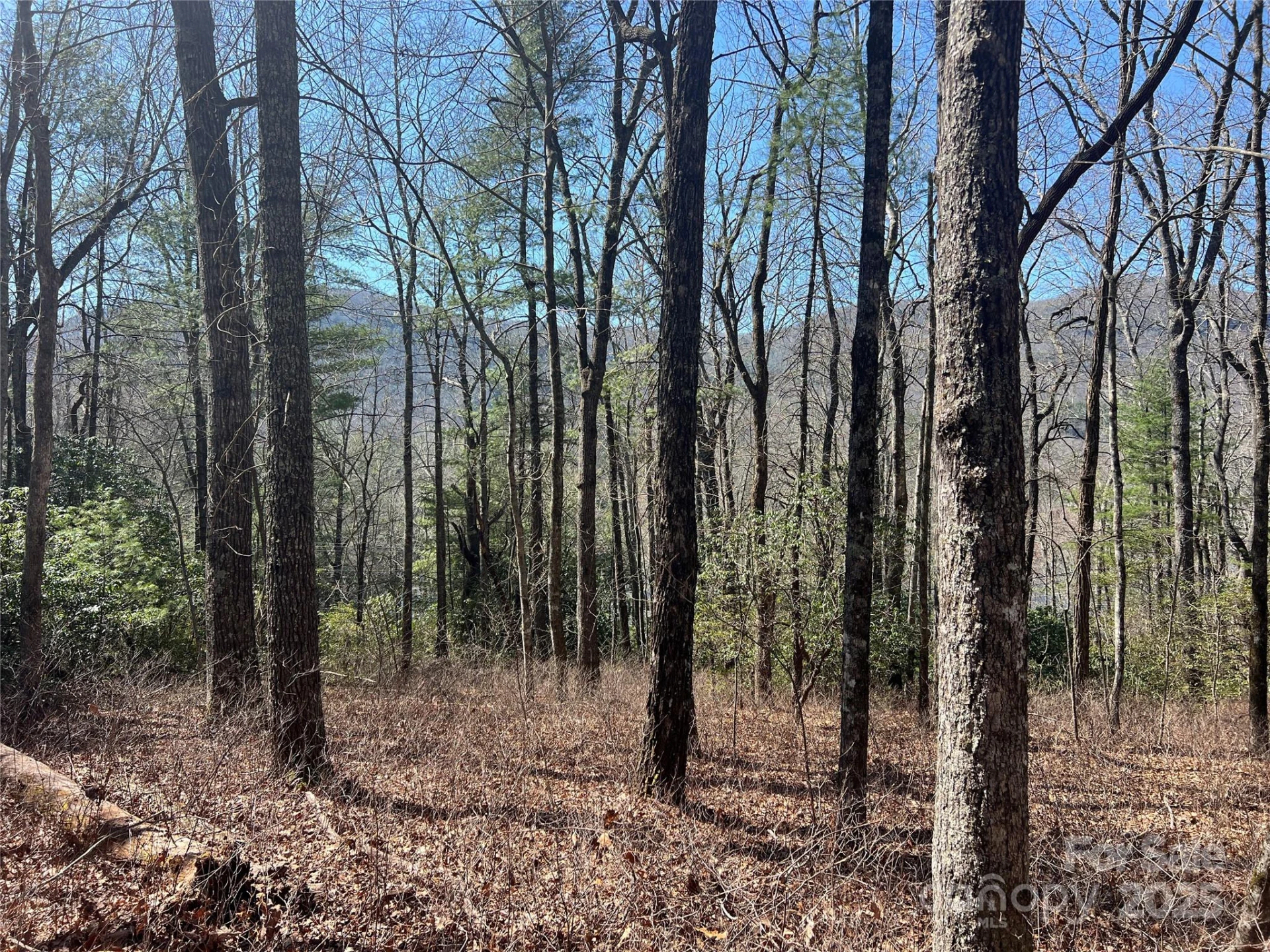 TBD Panther Ridge Road - Photo 5