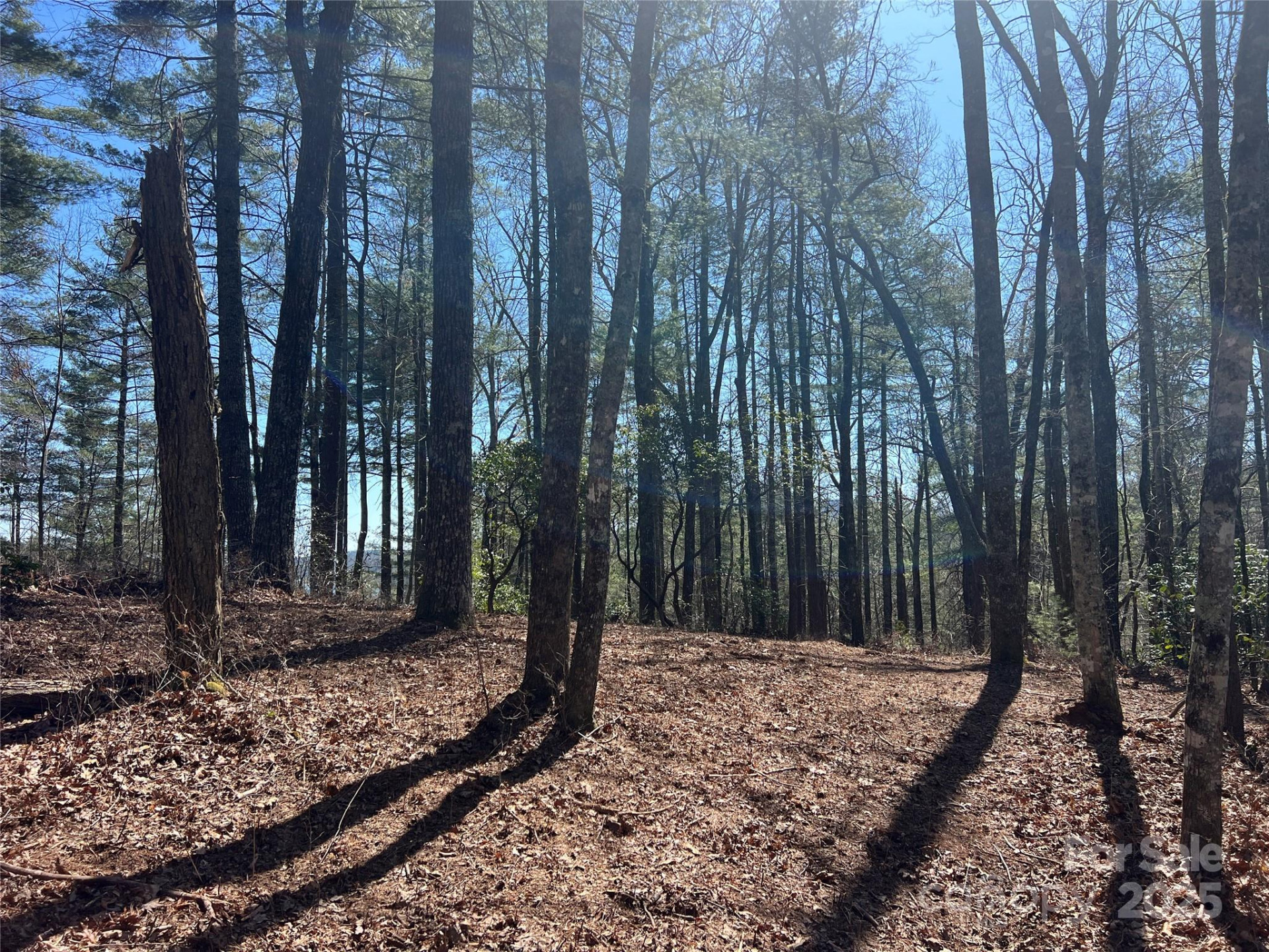 TBD Panther Ridge Road - Photo 6