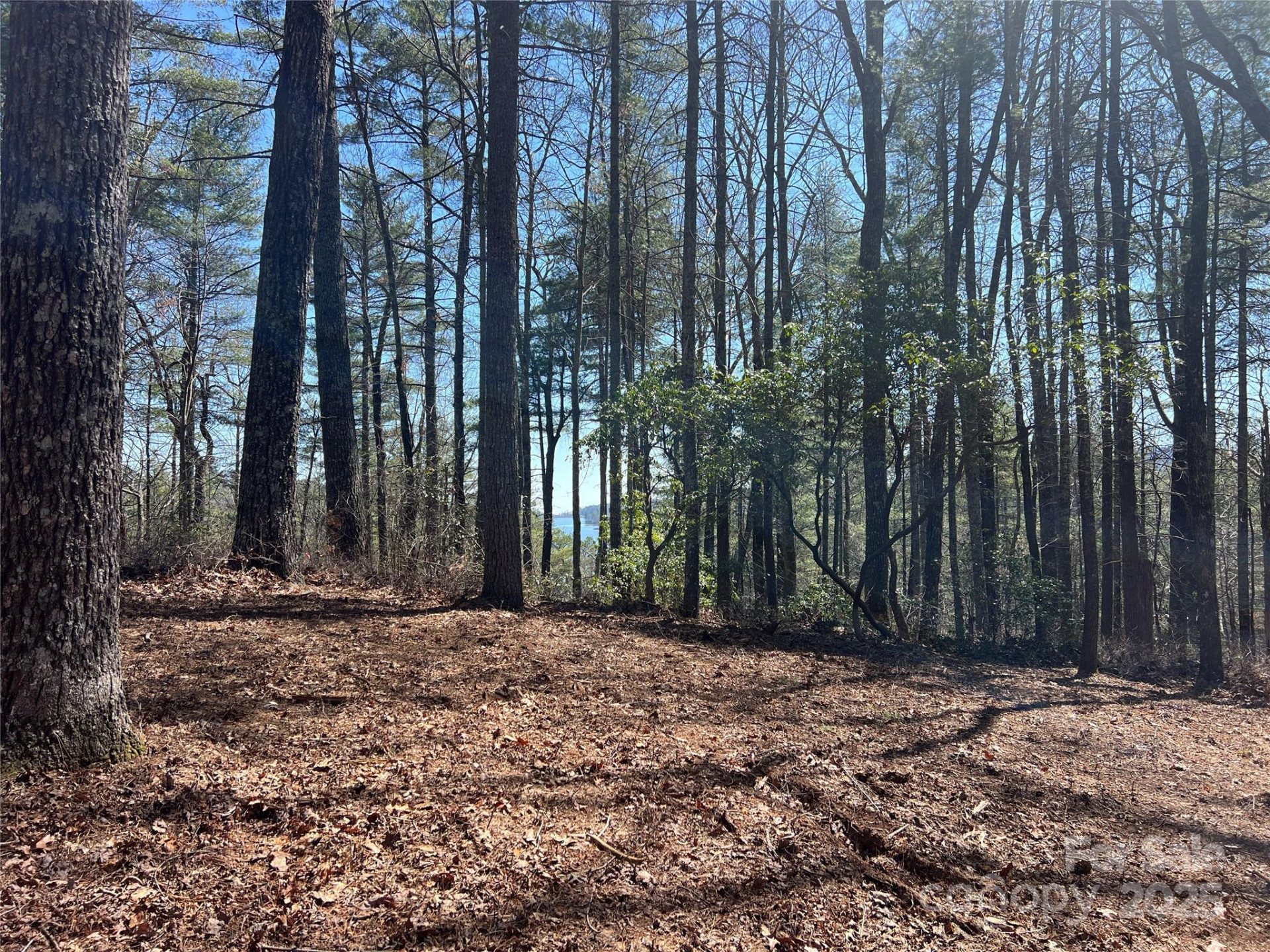 TBD Panther Ridge Road - Photo 7