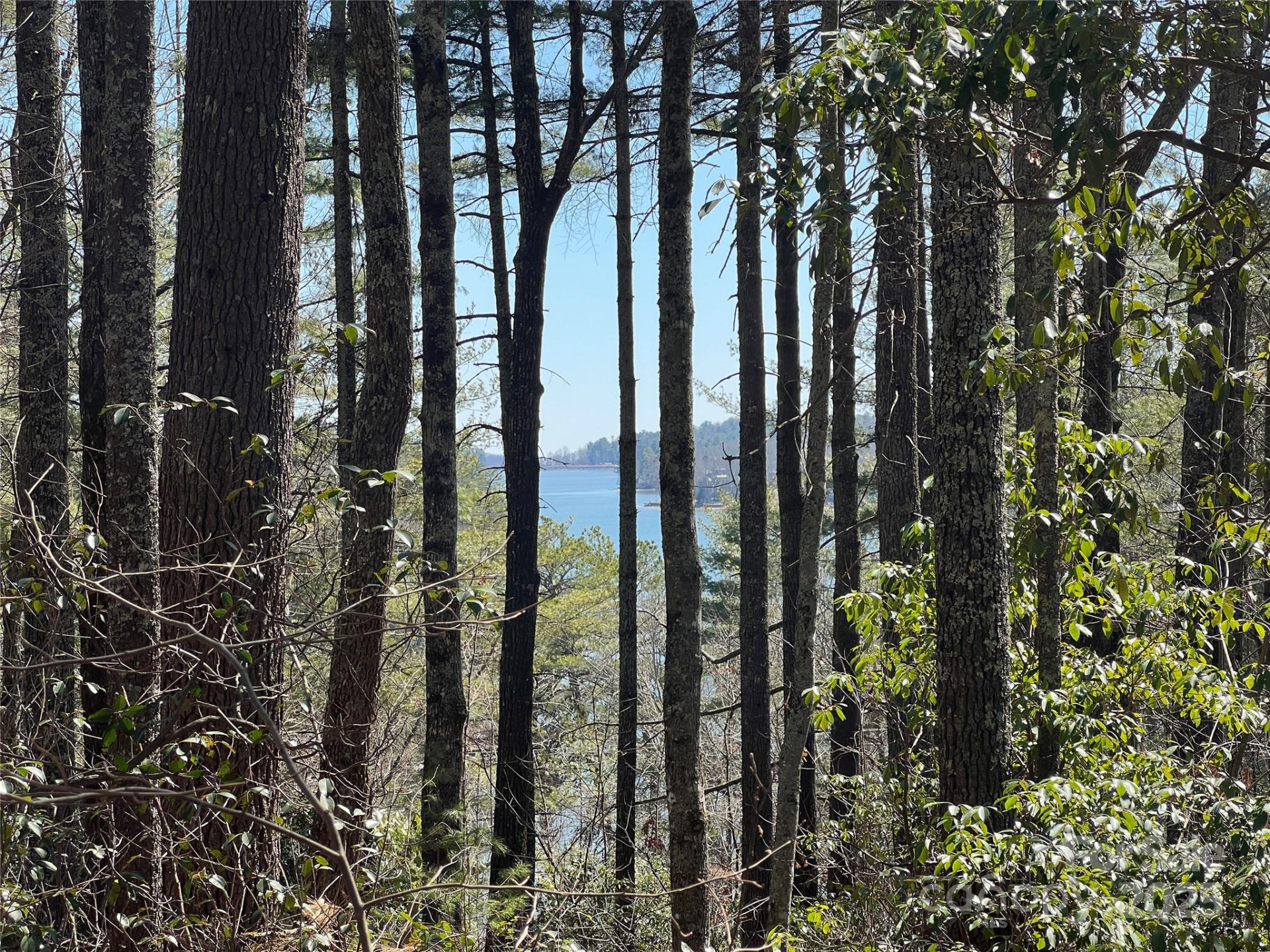 TBD Panther Ridge Road - Photo 9